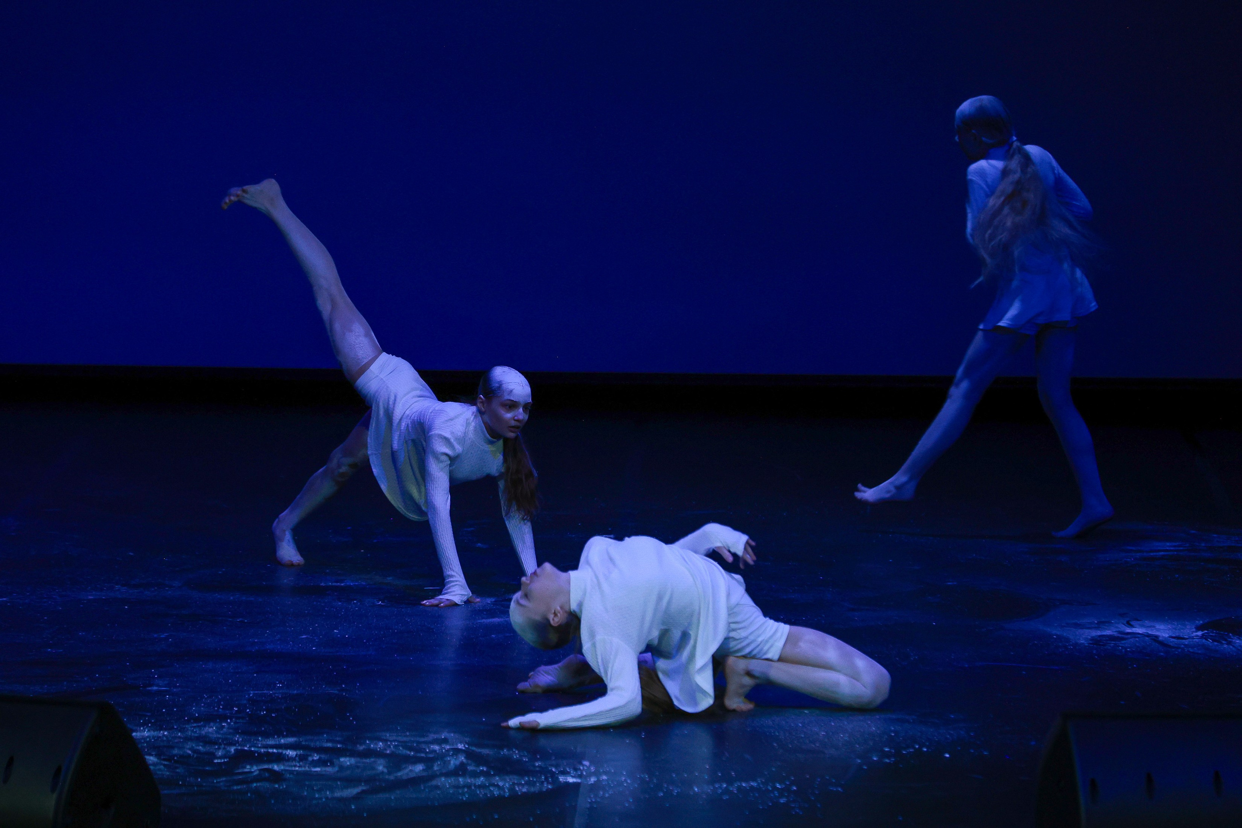 Небесные ласточки на Танц ЭКСПО 2026. Фотограф Юлия Мальцева