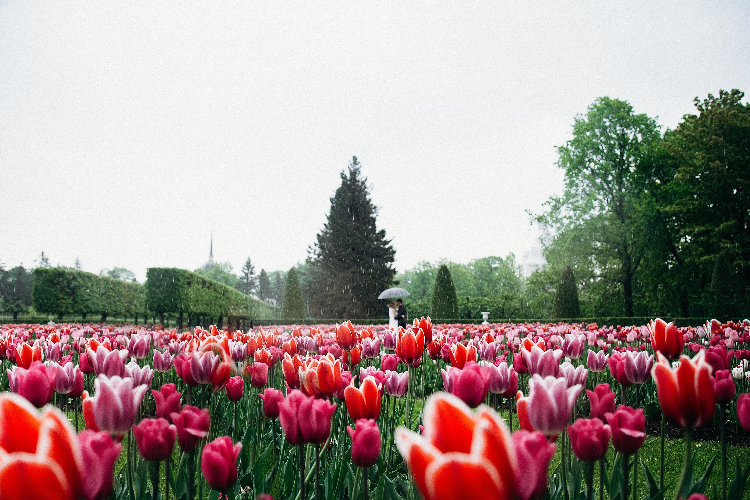 ИЗБРАННОЕ. Свадебный фотограф Юлия Шторм