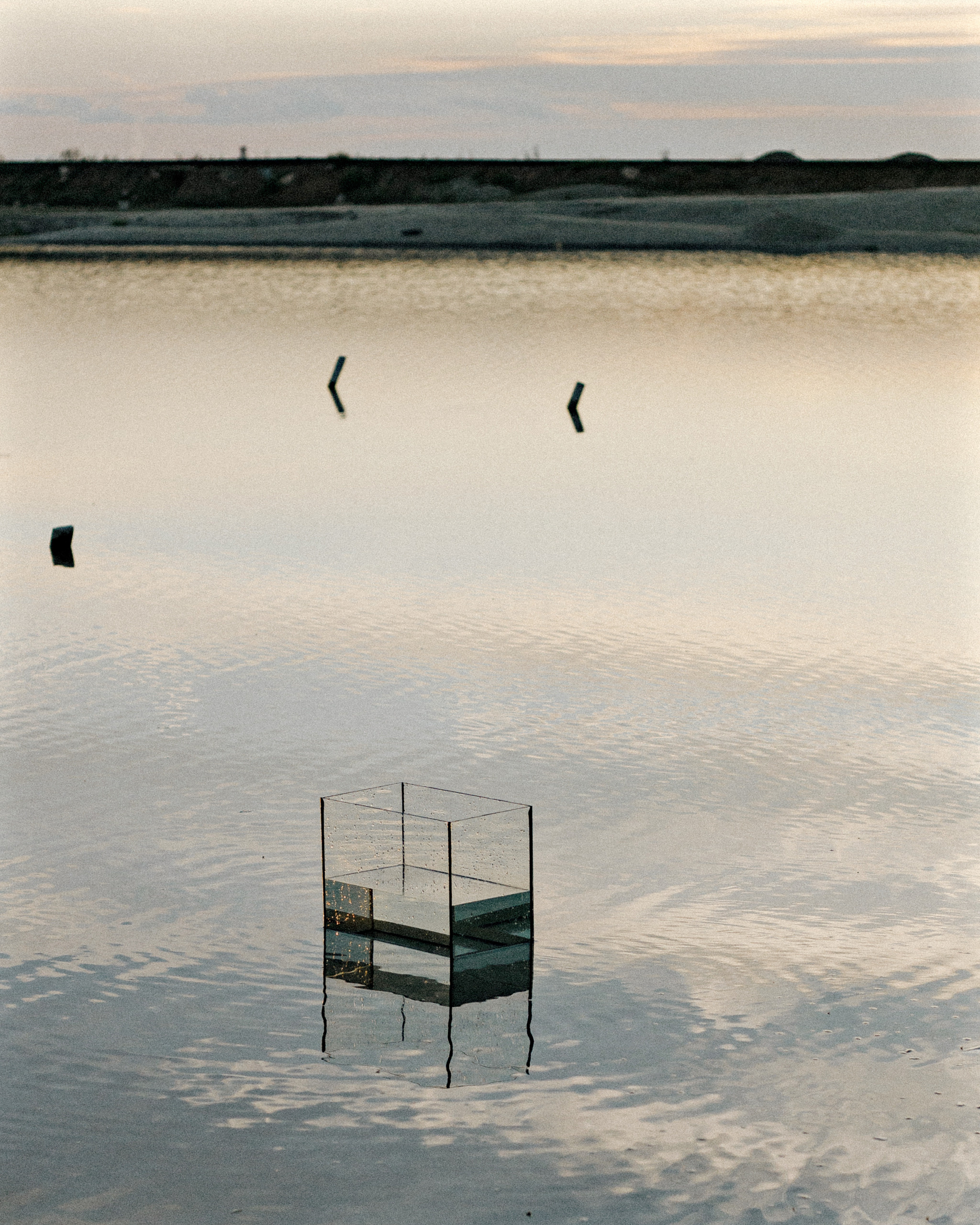 Аквариумная Лена. Фотограф Андрей Куськало