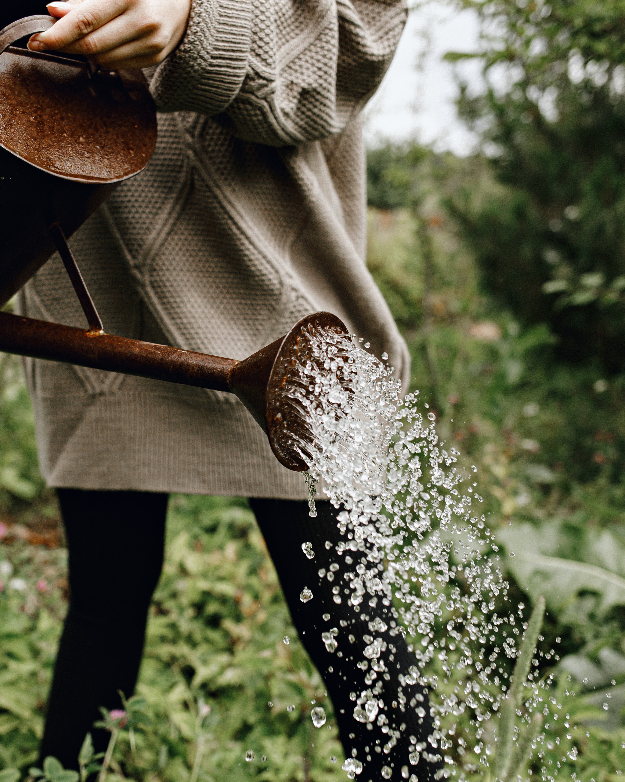 Dacha. Фотограф Андрей Куськало