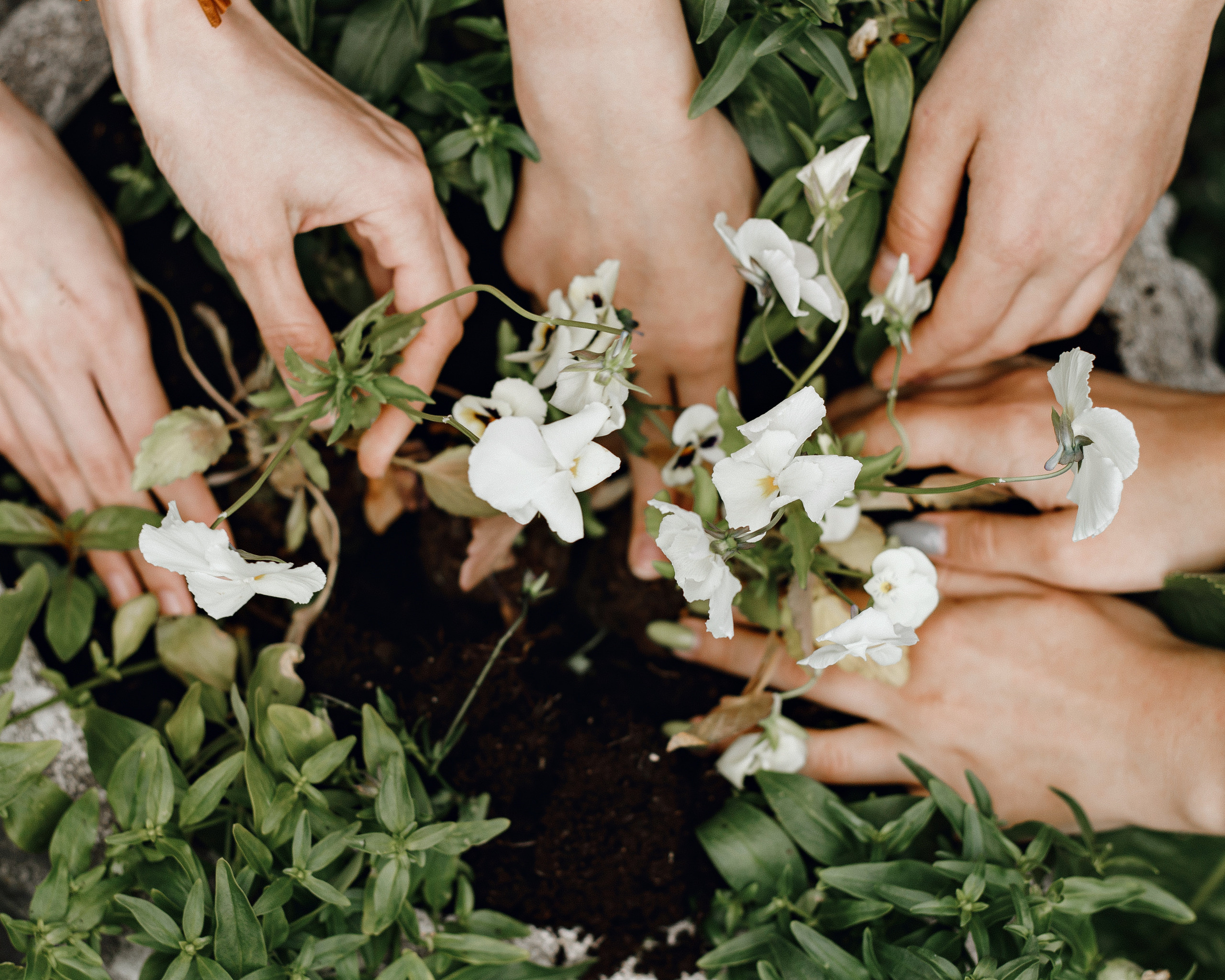 Dacha. Фотограф Андрей Куськало
