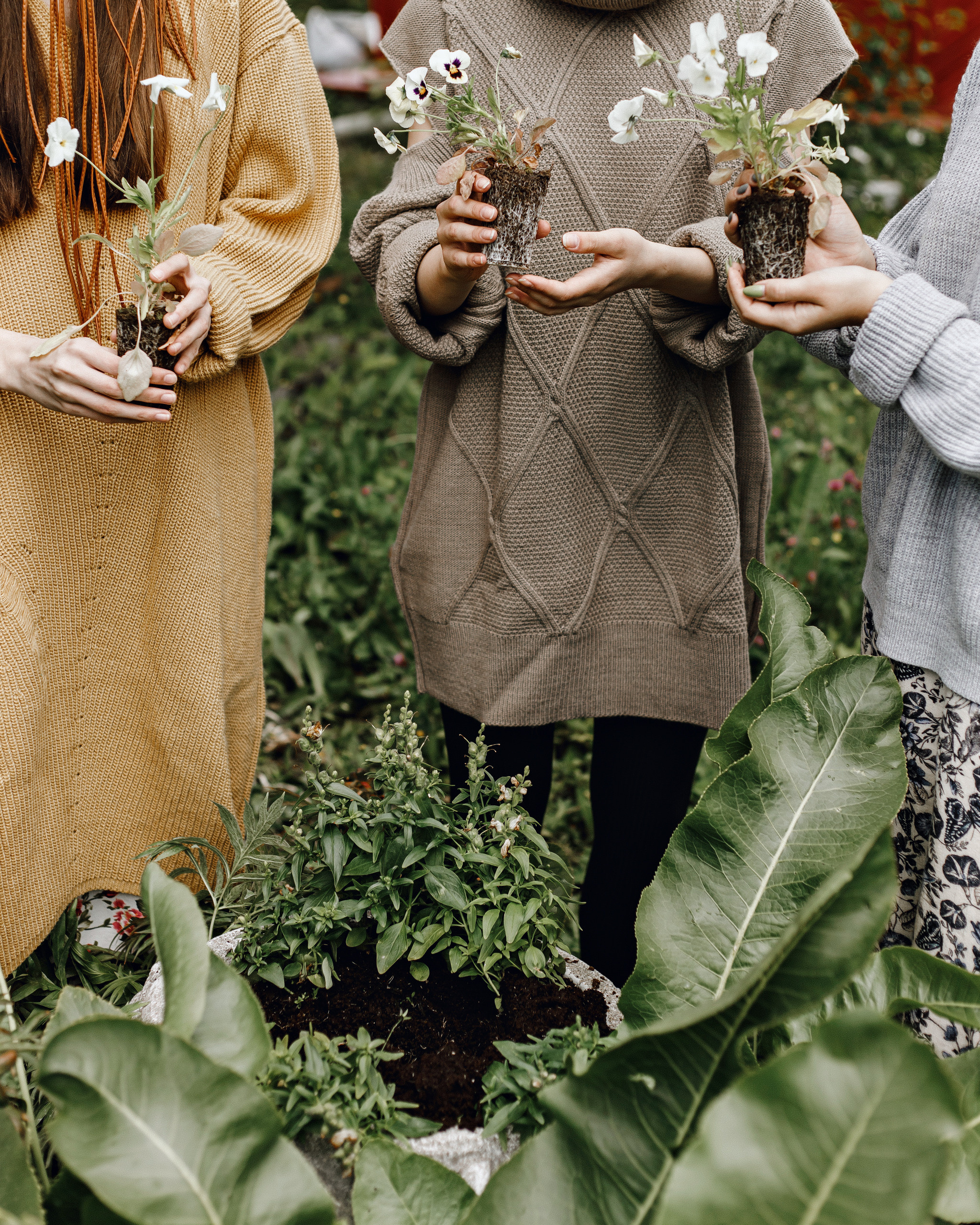 Dacha. Фотограф Андрей Куськало