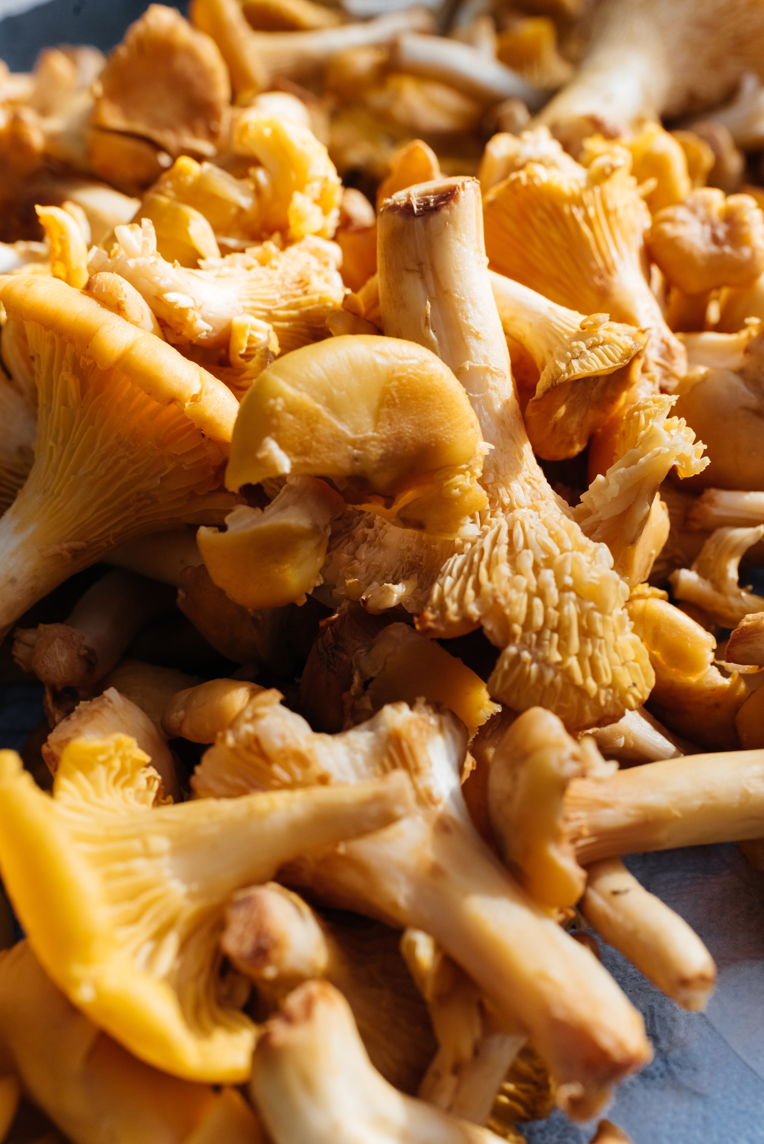 Трапези. Мержаново — гастроужин. Фотограф Елена Кучук