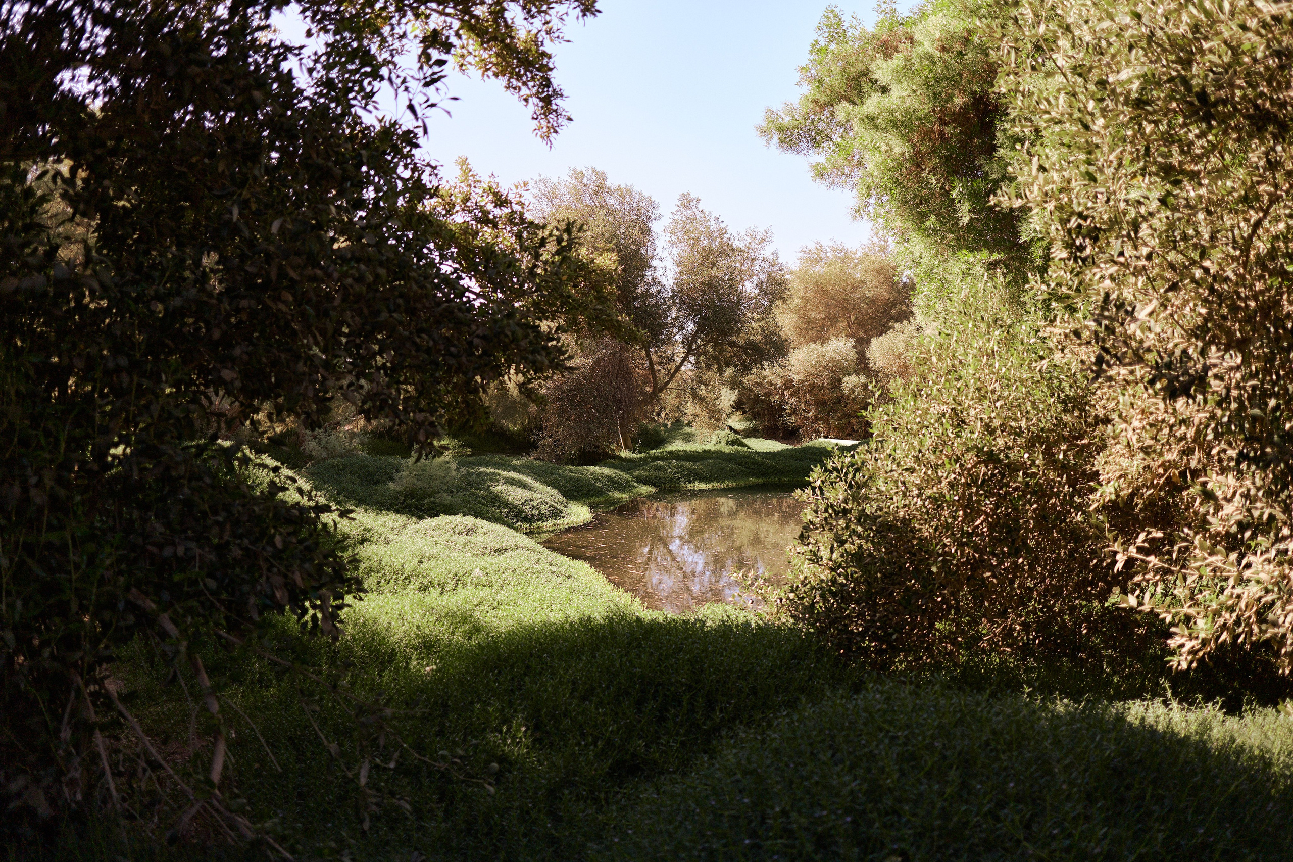 Другое 3. Jorgis Talè — photographer, kind person, teacher of arts and other mag