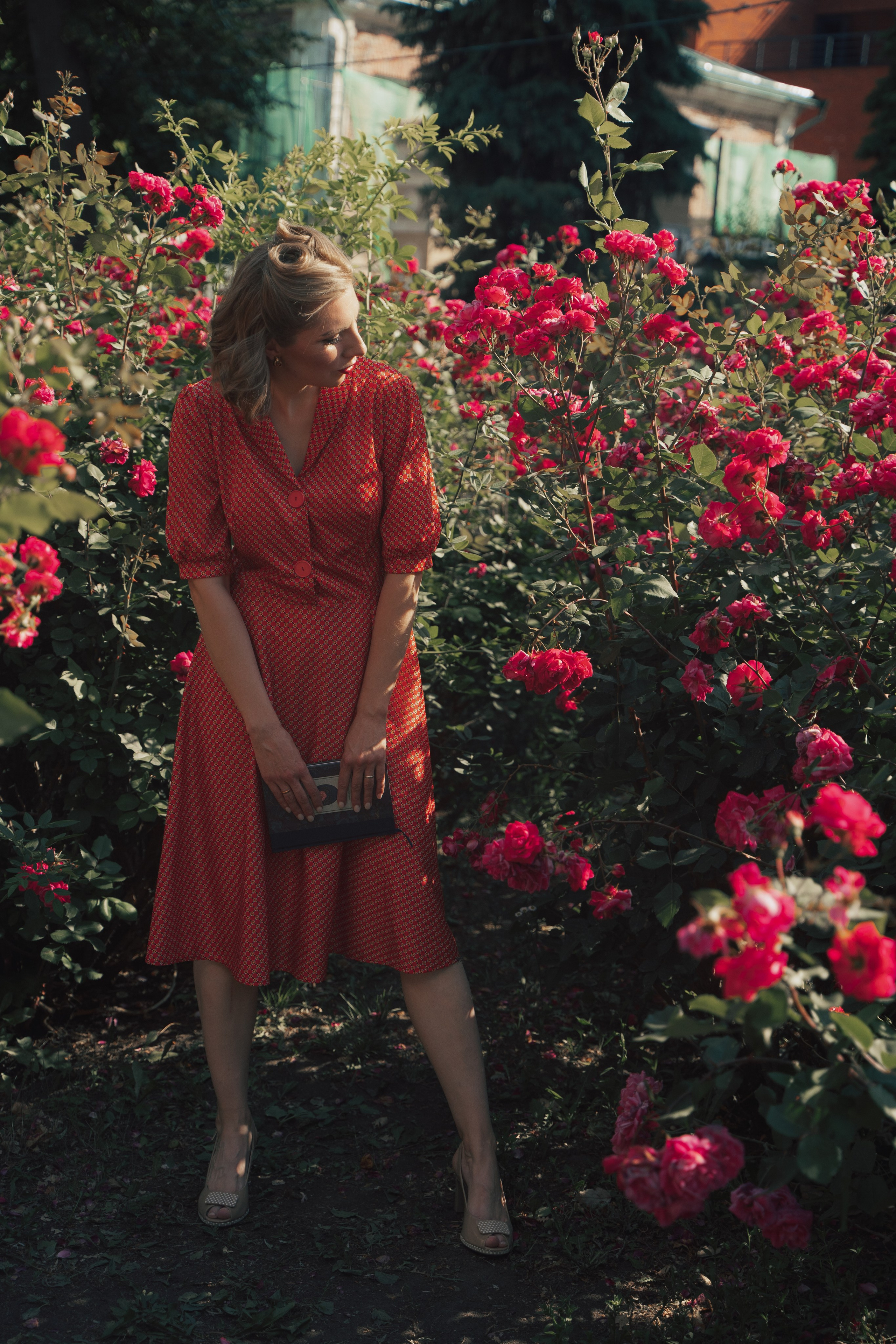 Розы. Фотограф Мария Зайчик