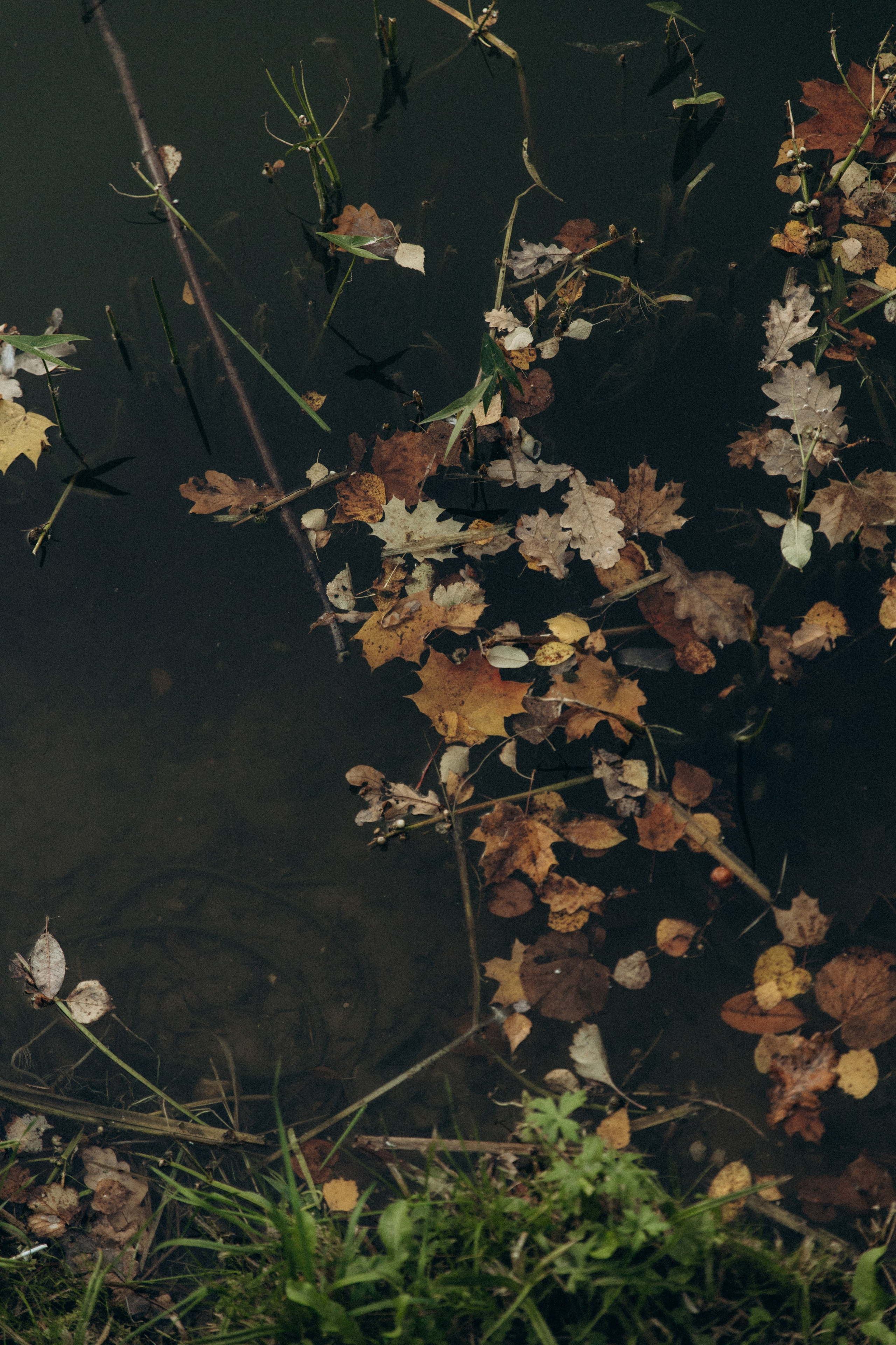 Катя и Ариана. Фотограф в Нижнем Новгороде Воробьева Анжела