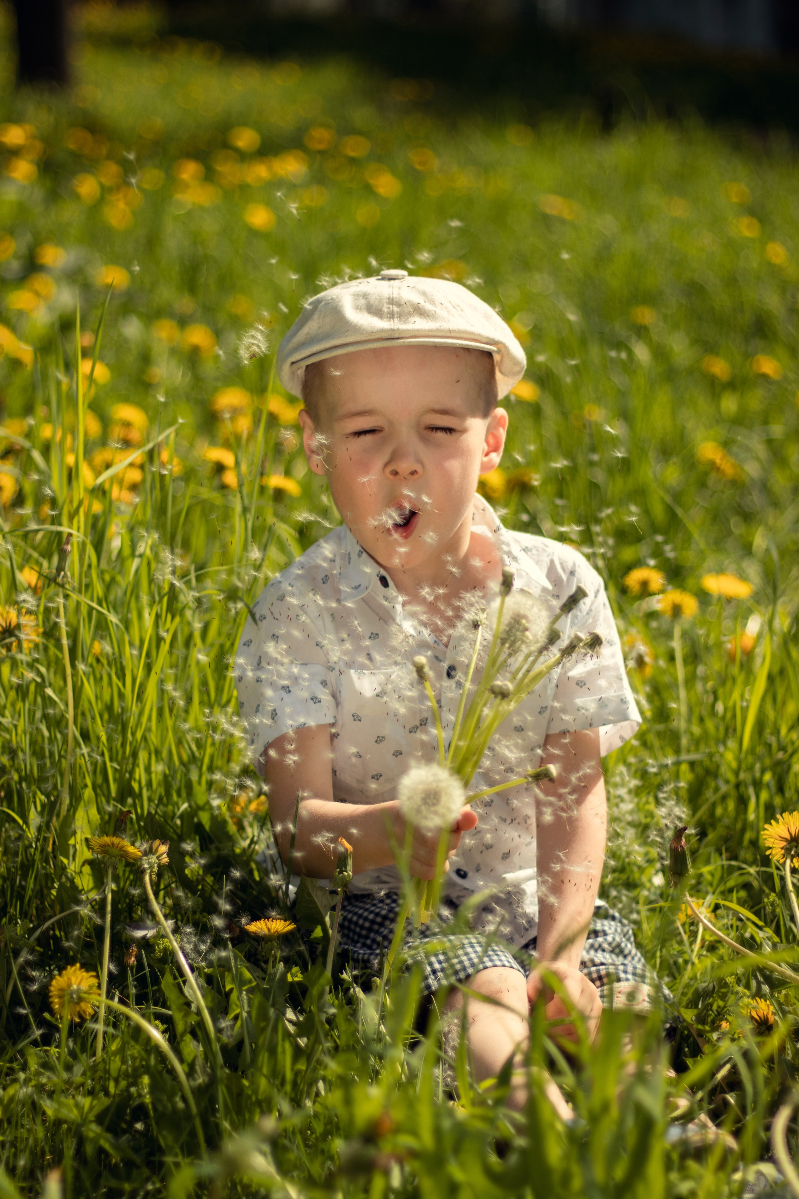 Одуванчиковое настроение