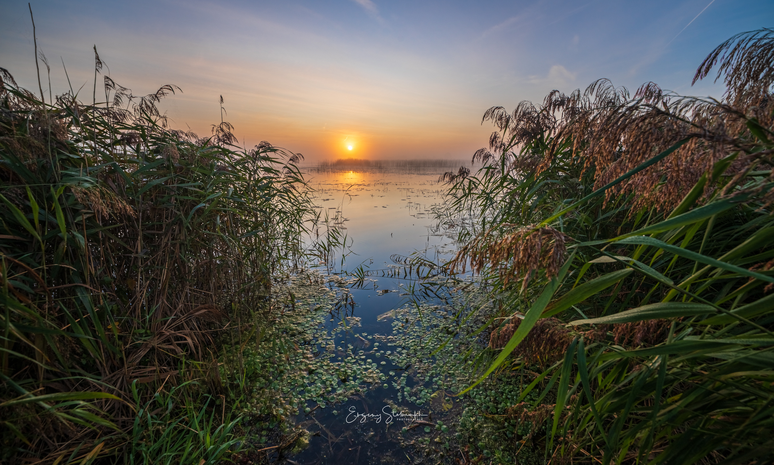 Пруд в Изобелино