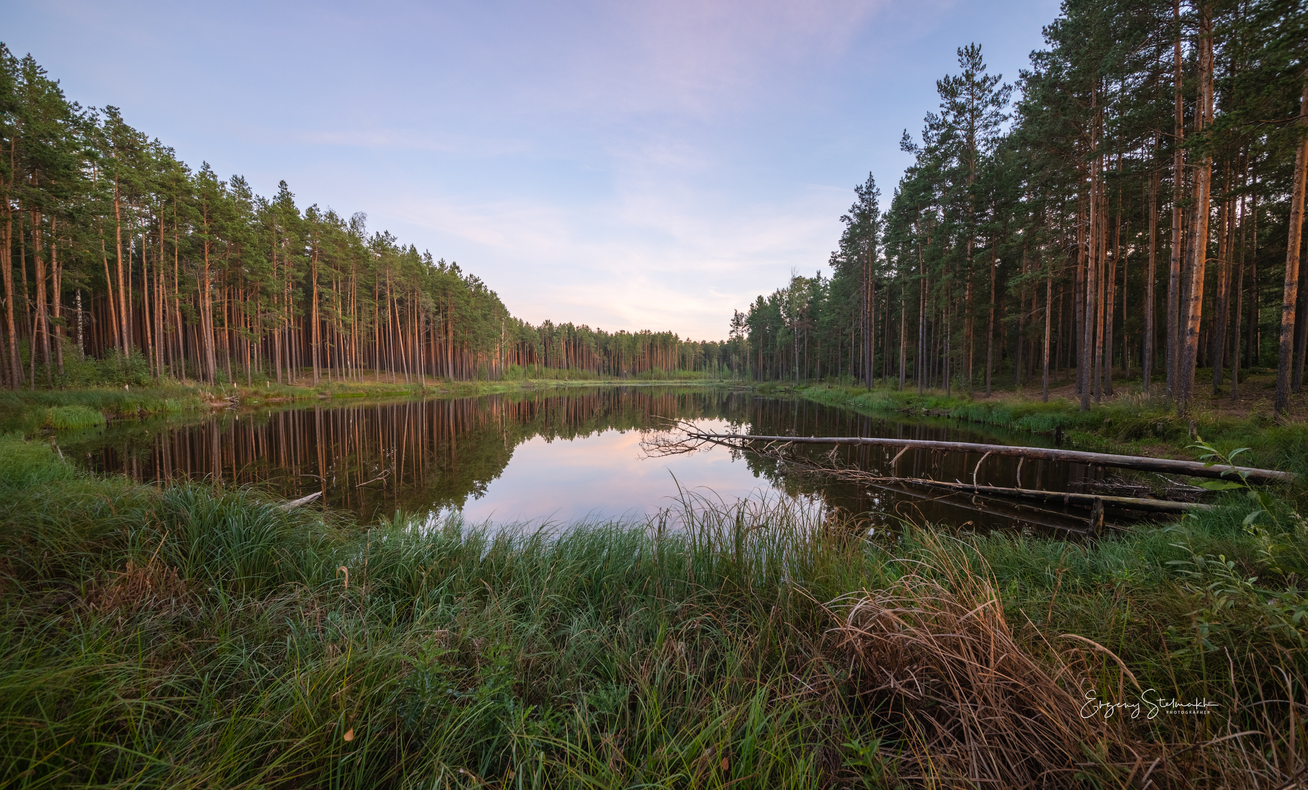 Лесное озеро