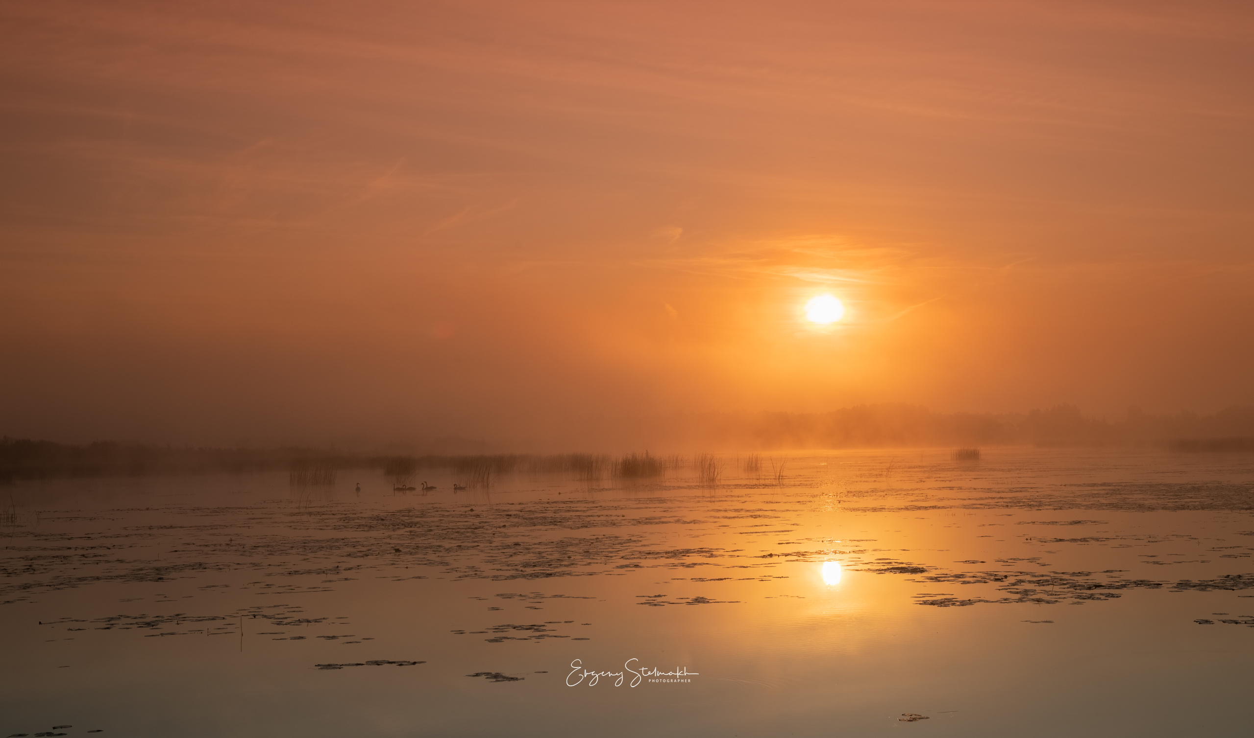 Солнце встало