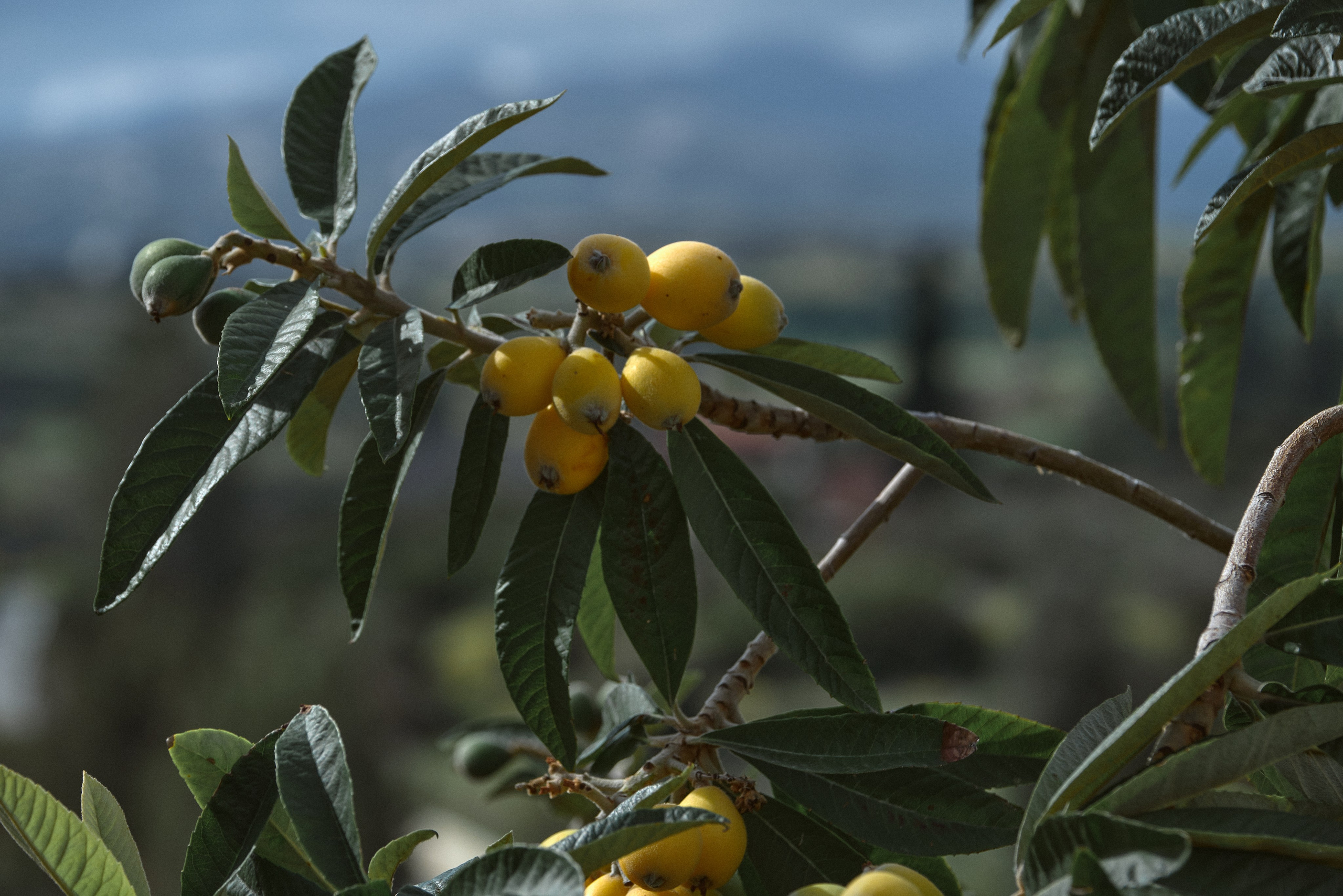 Cyprus 2024 / march. Aleksandr Kobtsev