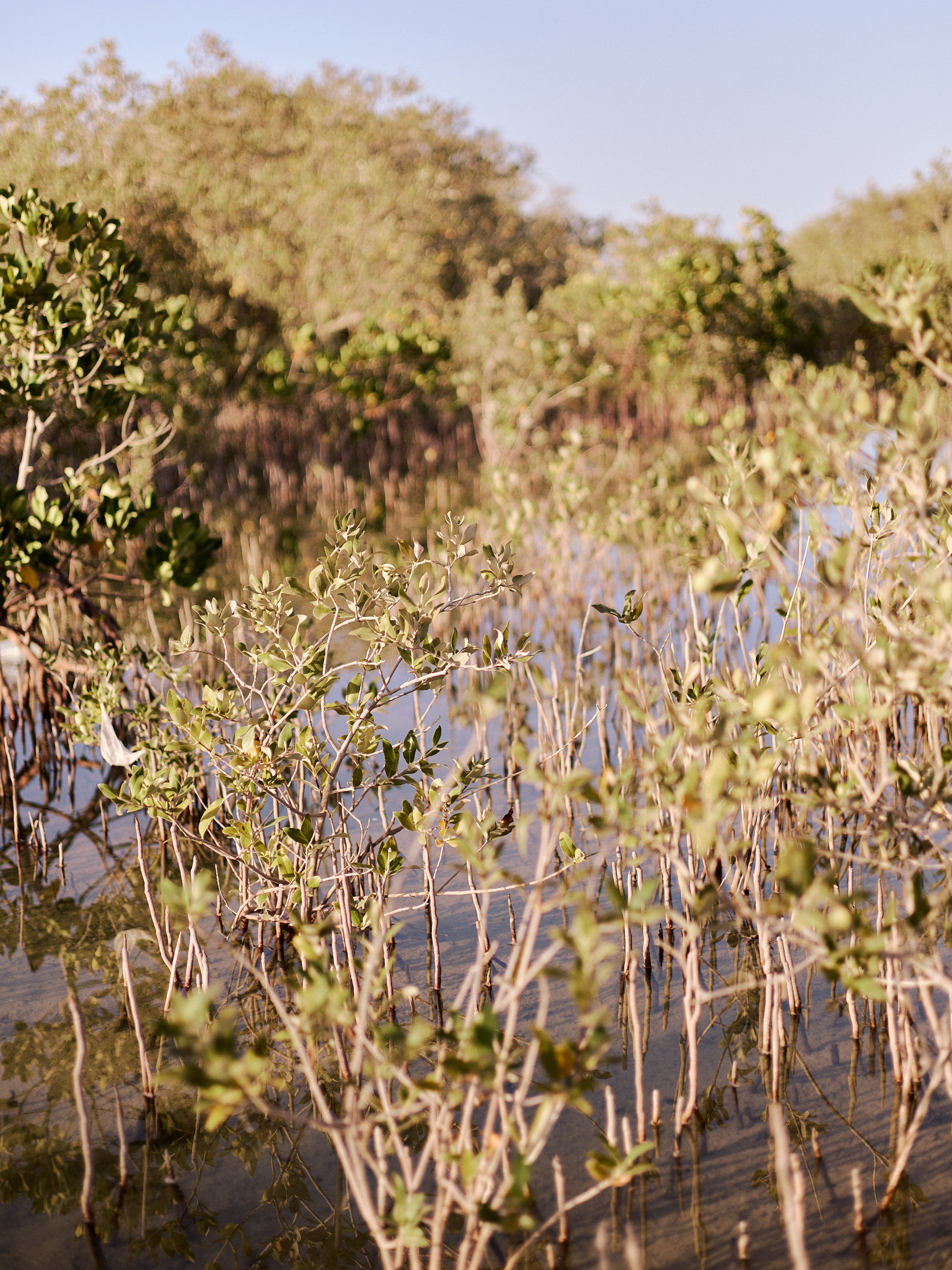 Другое 2. Jorgis Talè — photographer, kind person, teacher of arts and other mag