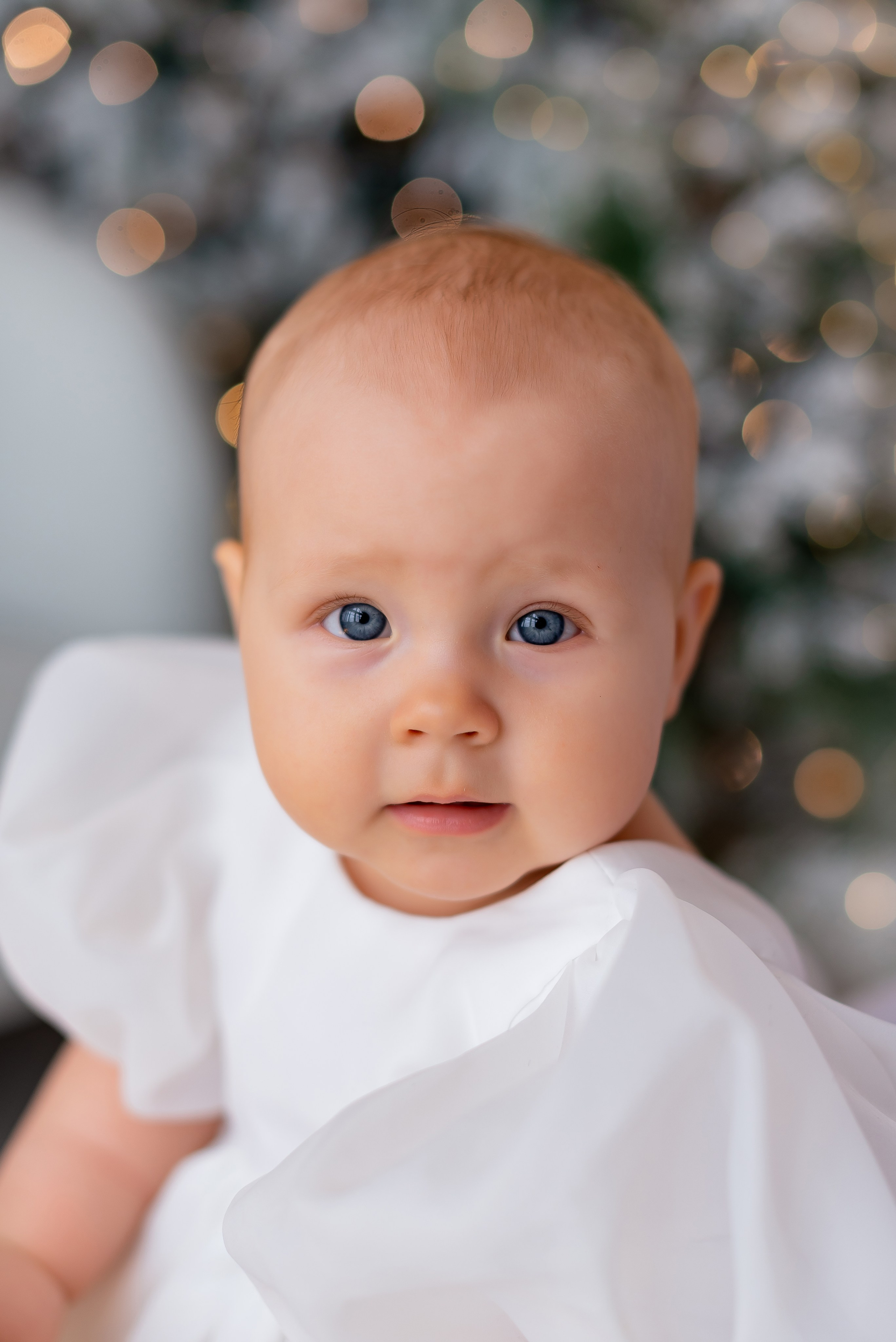 Новогодняя студия Скандибек. Фотограф Татьяна Иванчикова