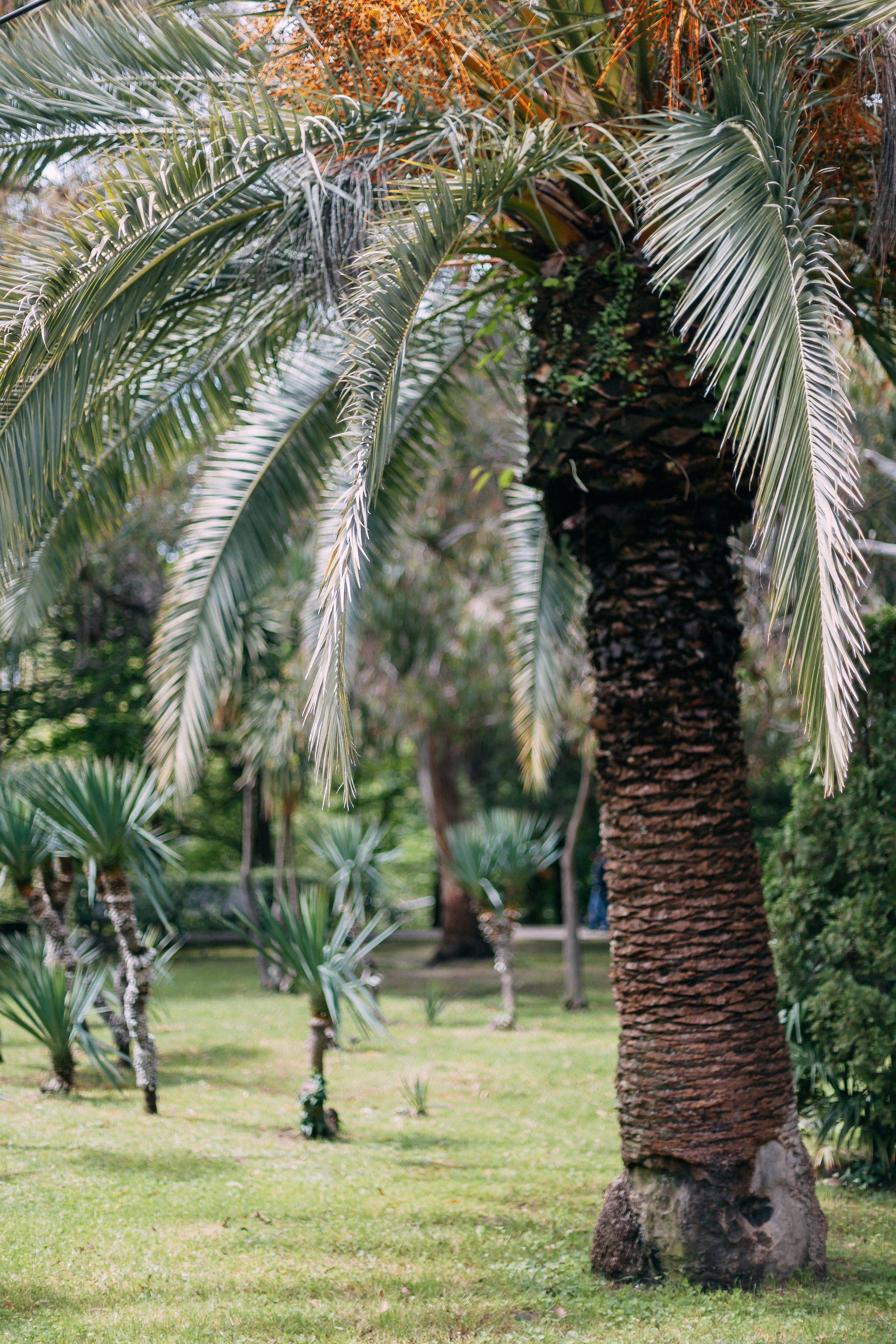 Сочи. Аня Степанова