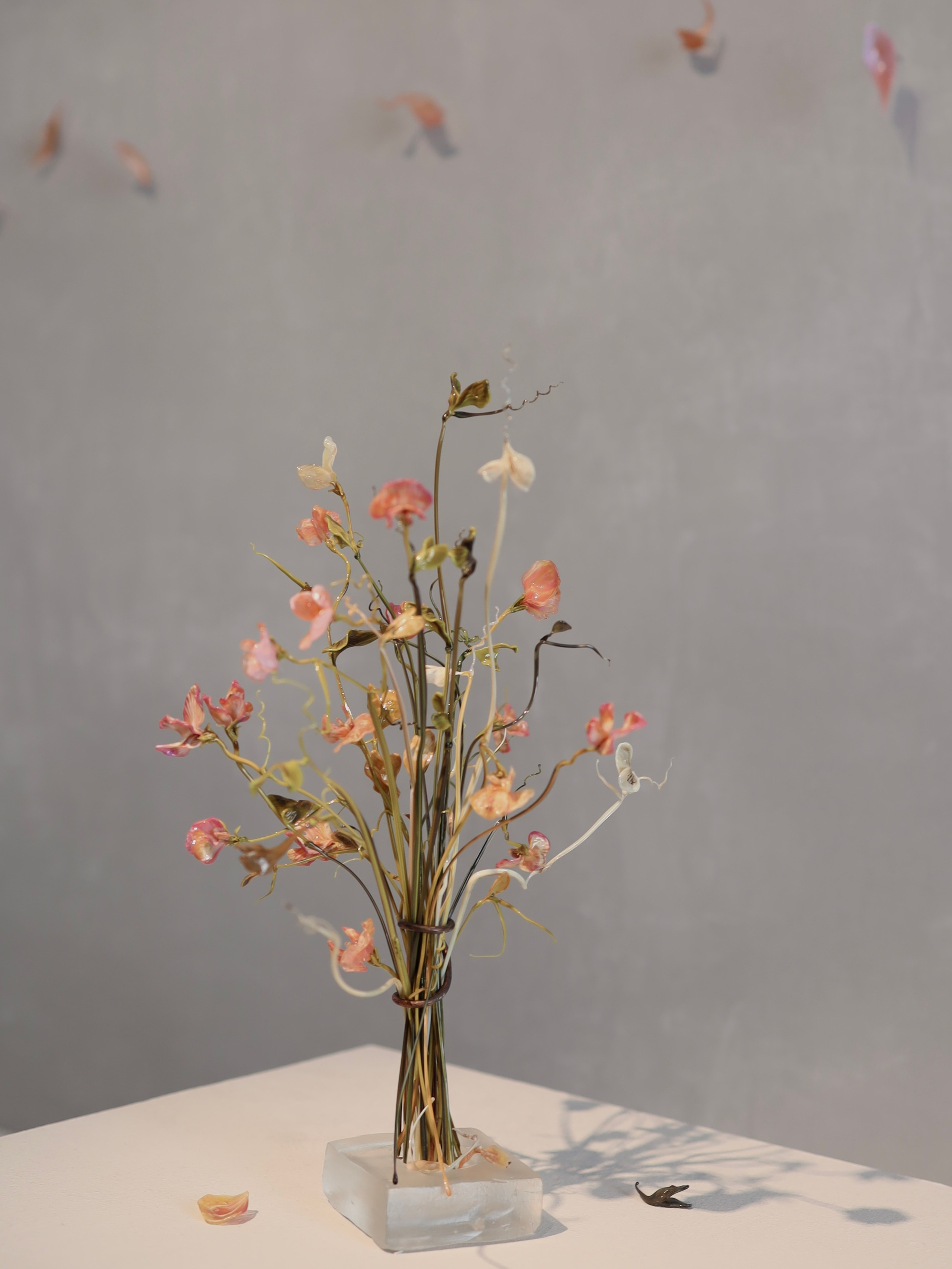 Выставка Степени прозрачности. Фотосессии и репортаж — Фотограф в Москве — Рина Серёгина