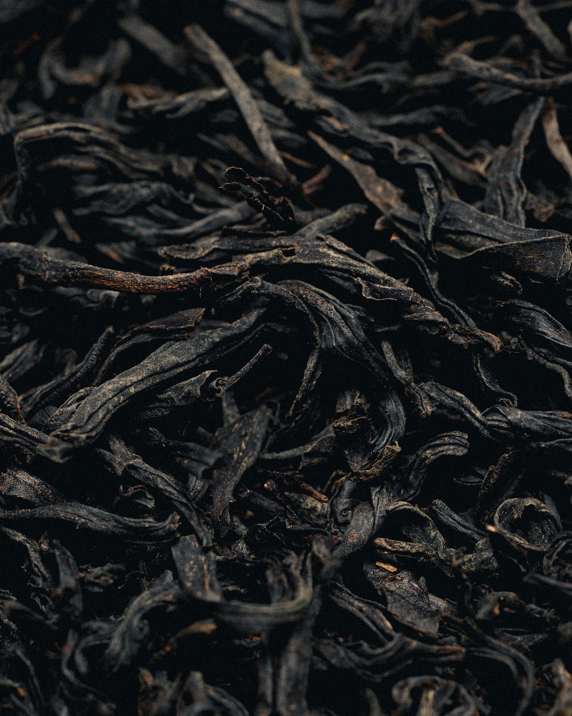 69 — CHA. Ivan Petrov photographer