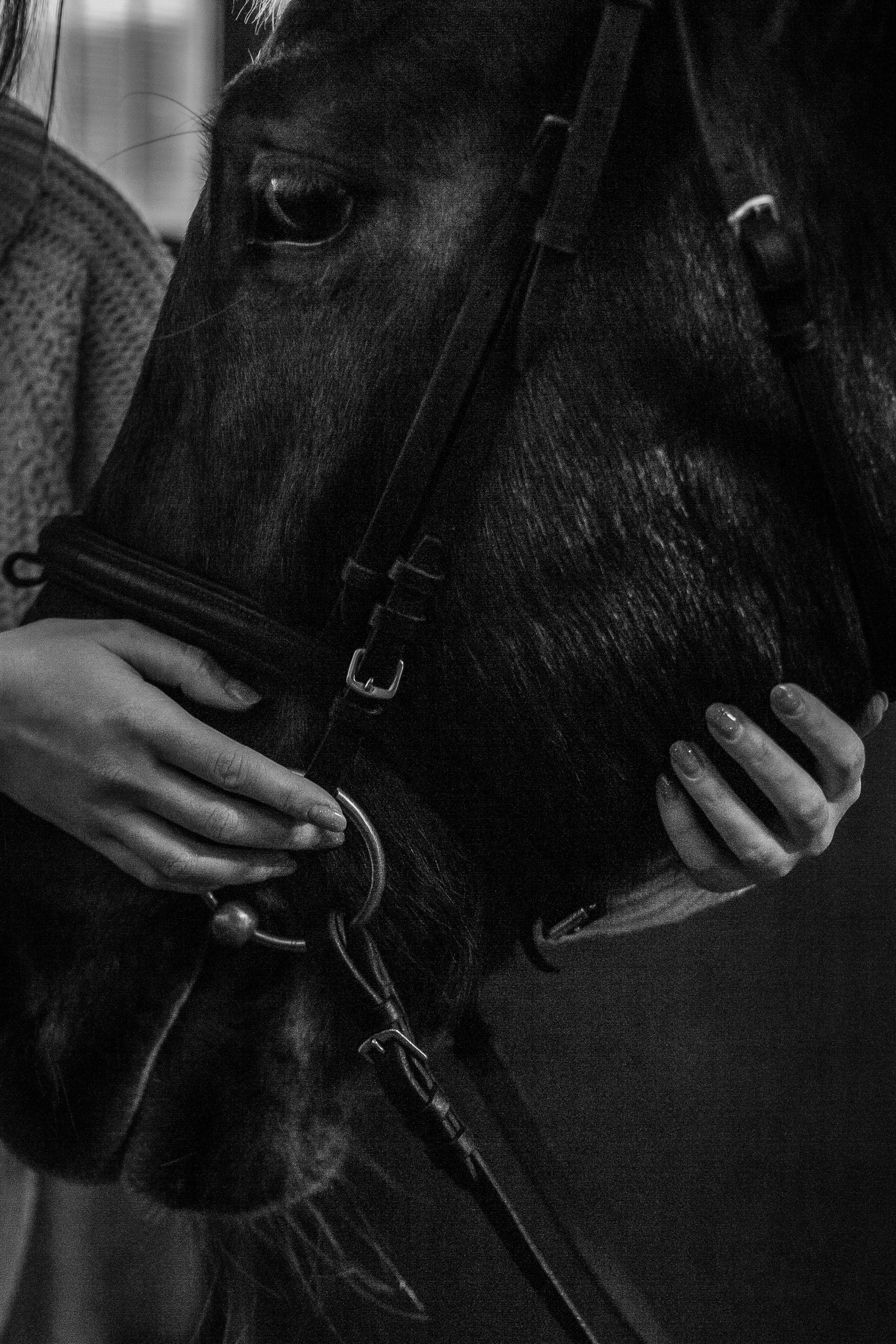 Ирина. Портретный, семейный, свадебный фотограф в Брянске Маргарита Василькова