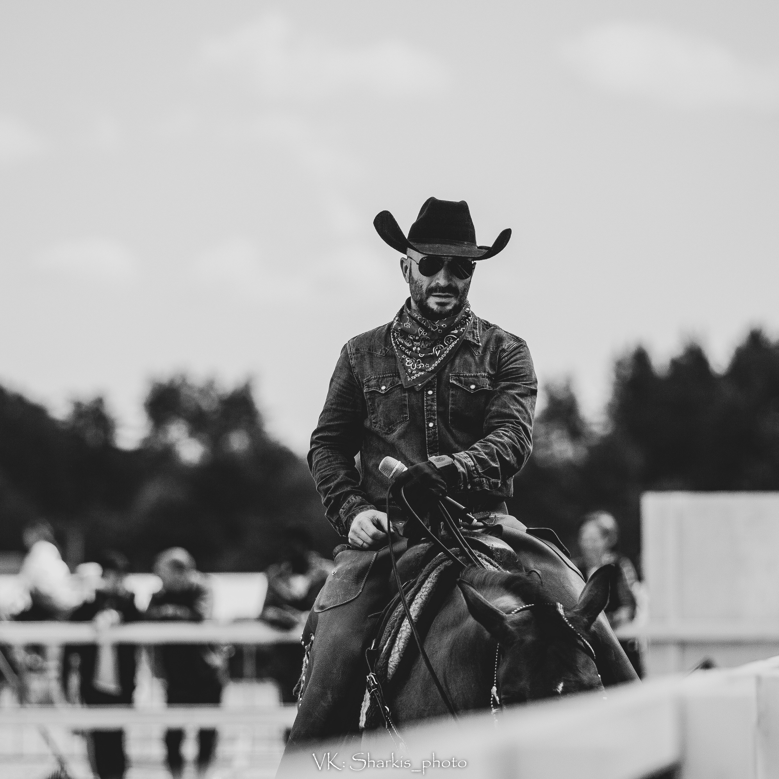 Лошади. Главная