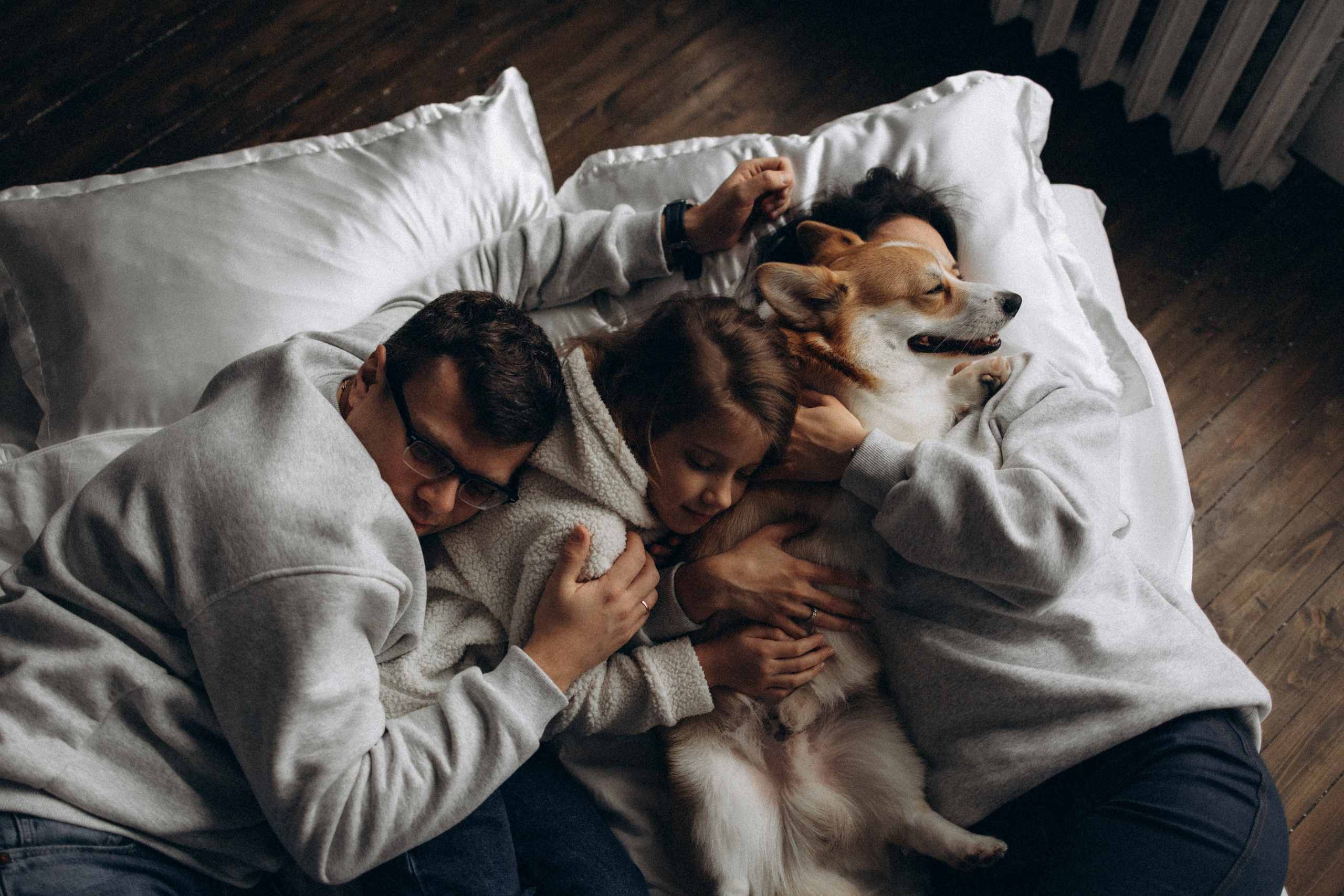 Зевс и его семья. Фотораф — анималист Мария Шистка