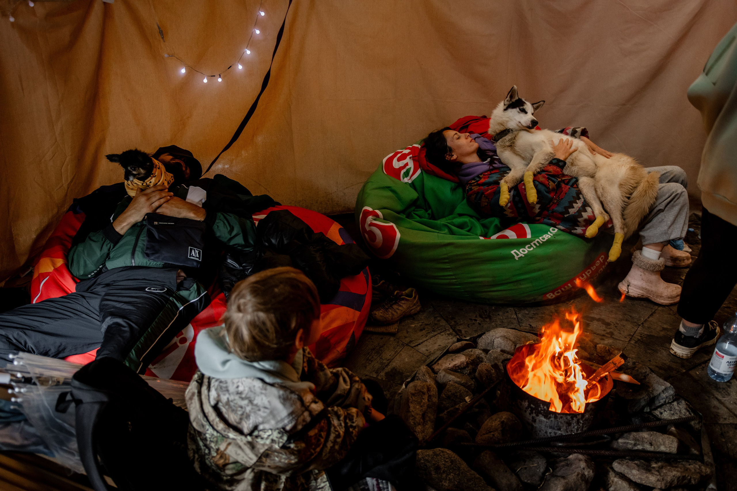 Дог-треккинг