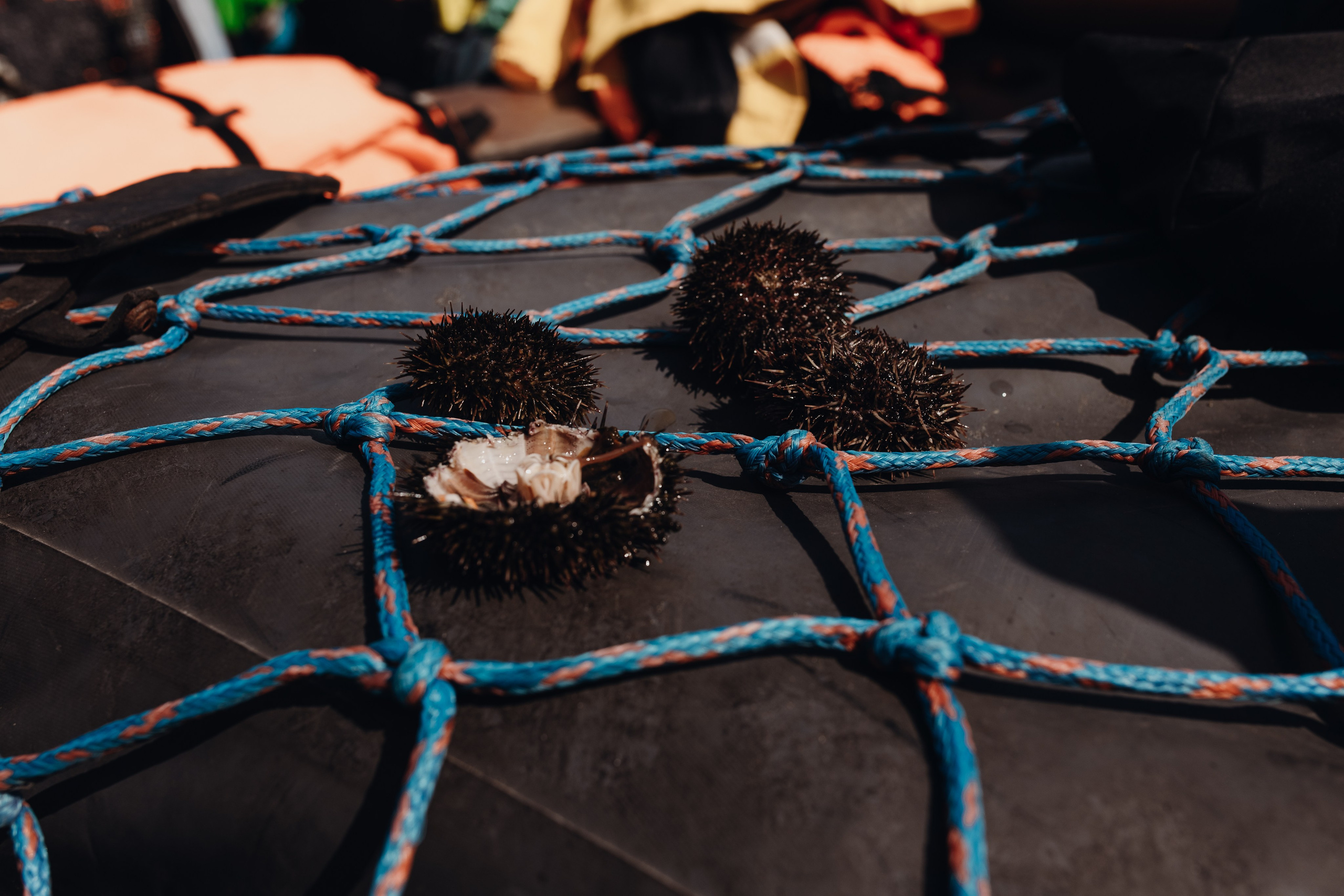 Авторский тур «Оля, куда завтра?!» 2024. Фотограф Итуруп | Курильские острова