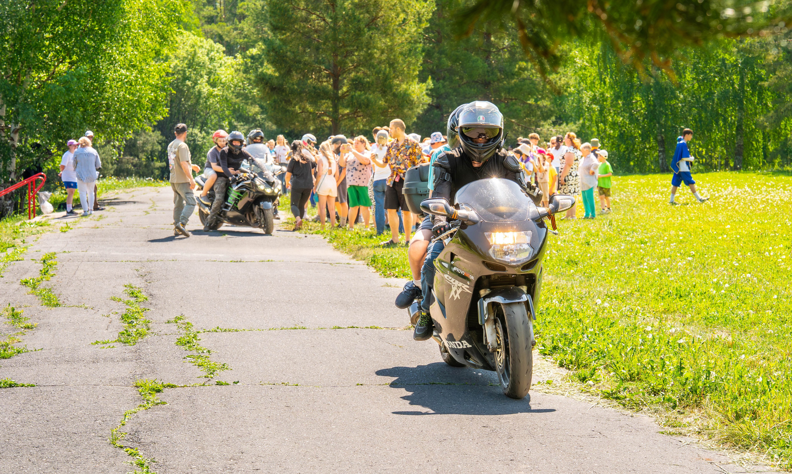 Лесная сказка. Фотограф Наталья Сорока Ижевск