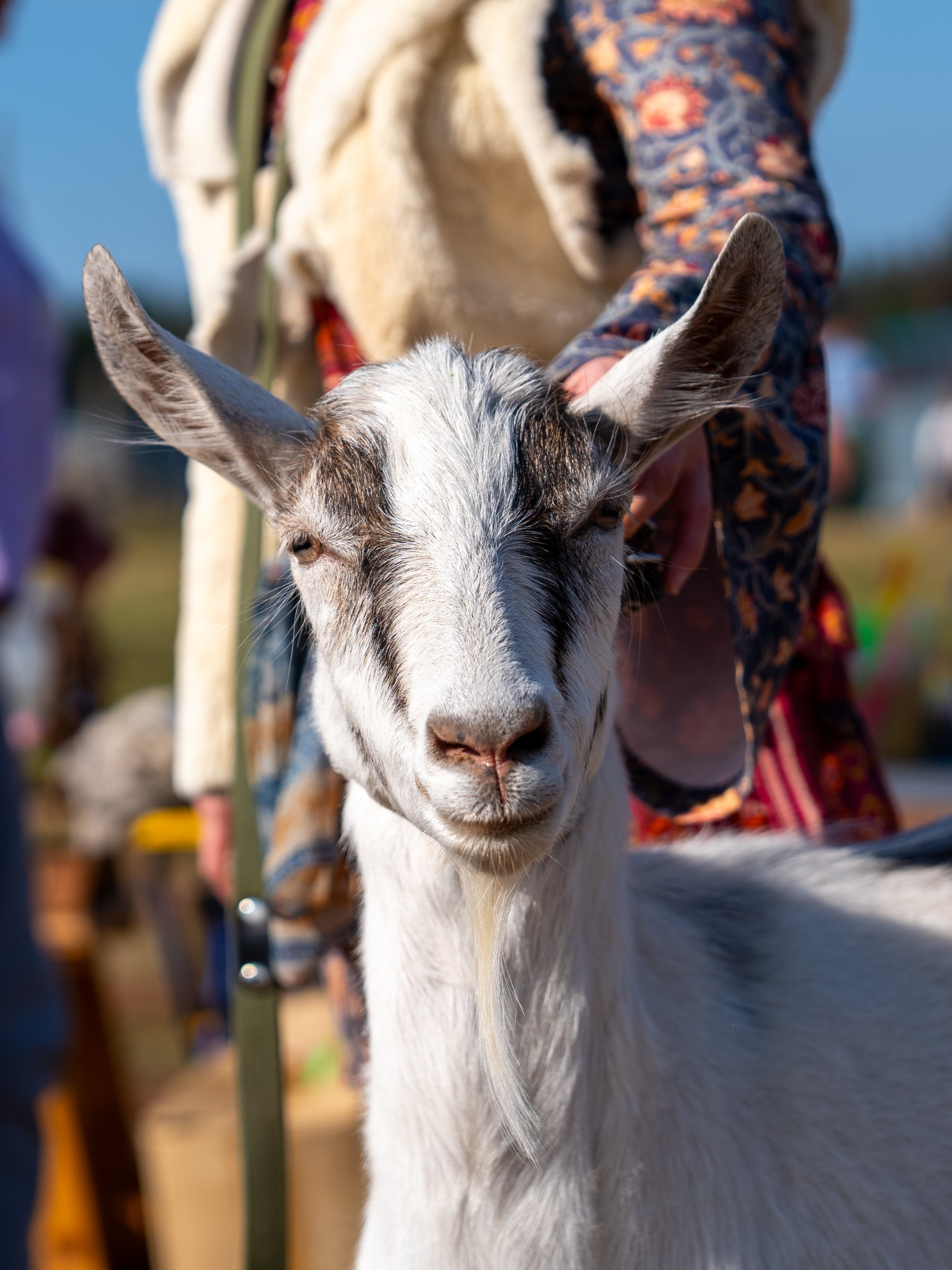 Ярмарка. Фотограф Наталья Сорока Ижевск