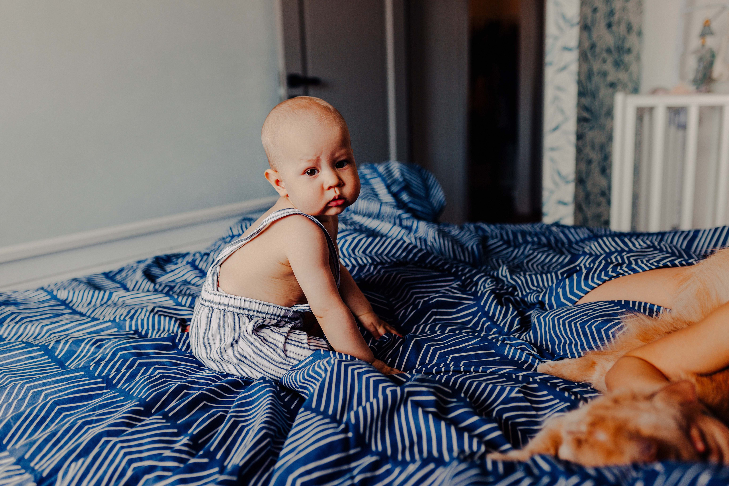 Мартышки в домашней обстановке. Семейный и индивидуальный фотограф в Санкт-Петербурге Маргарита Щипкова