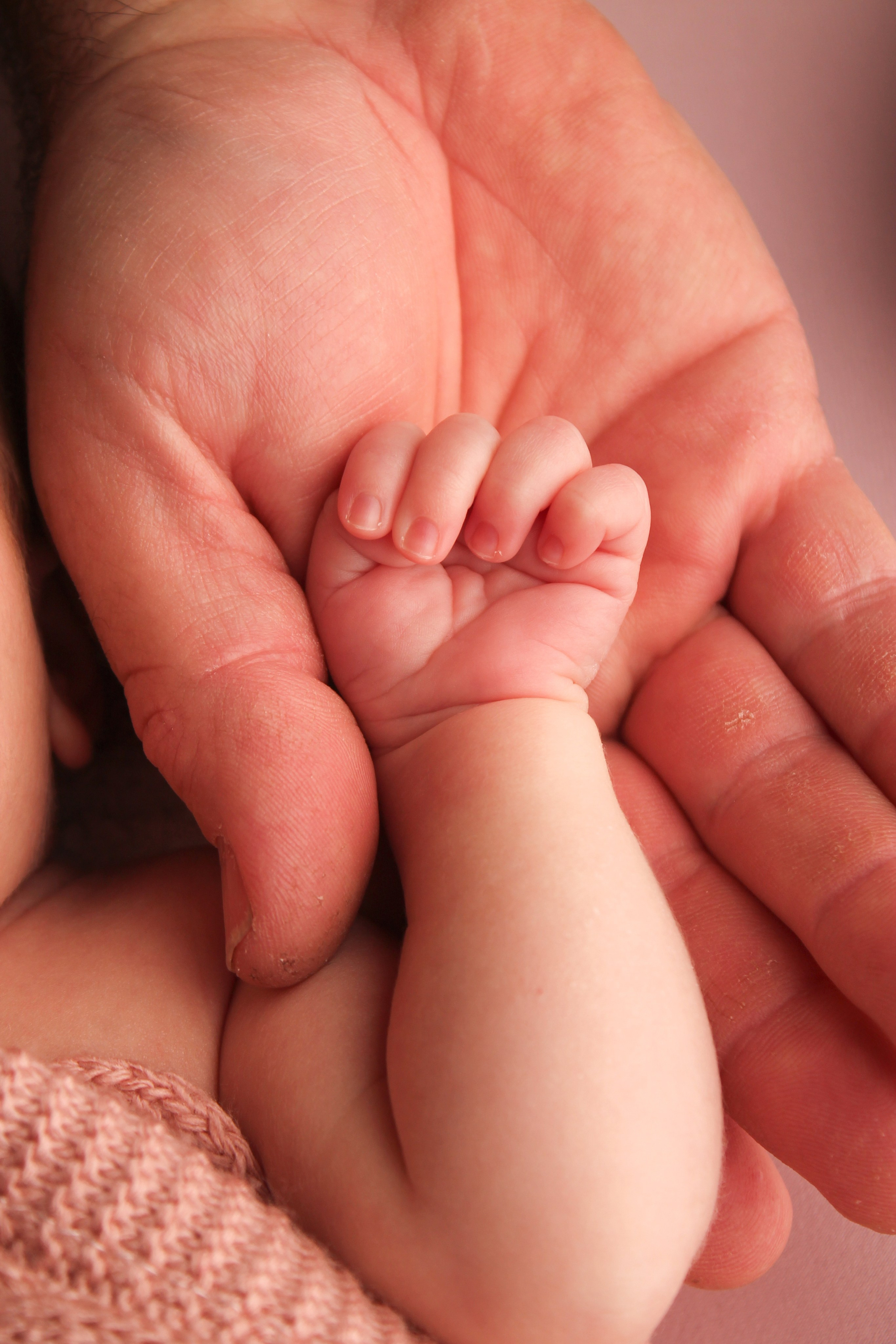 Newborn. Photograper Israel/фотограф Израиль. ALINA TARAN