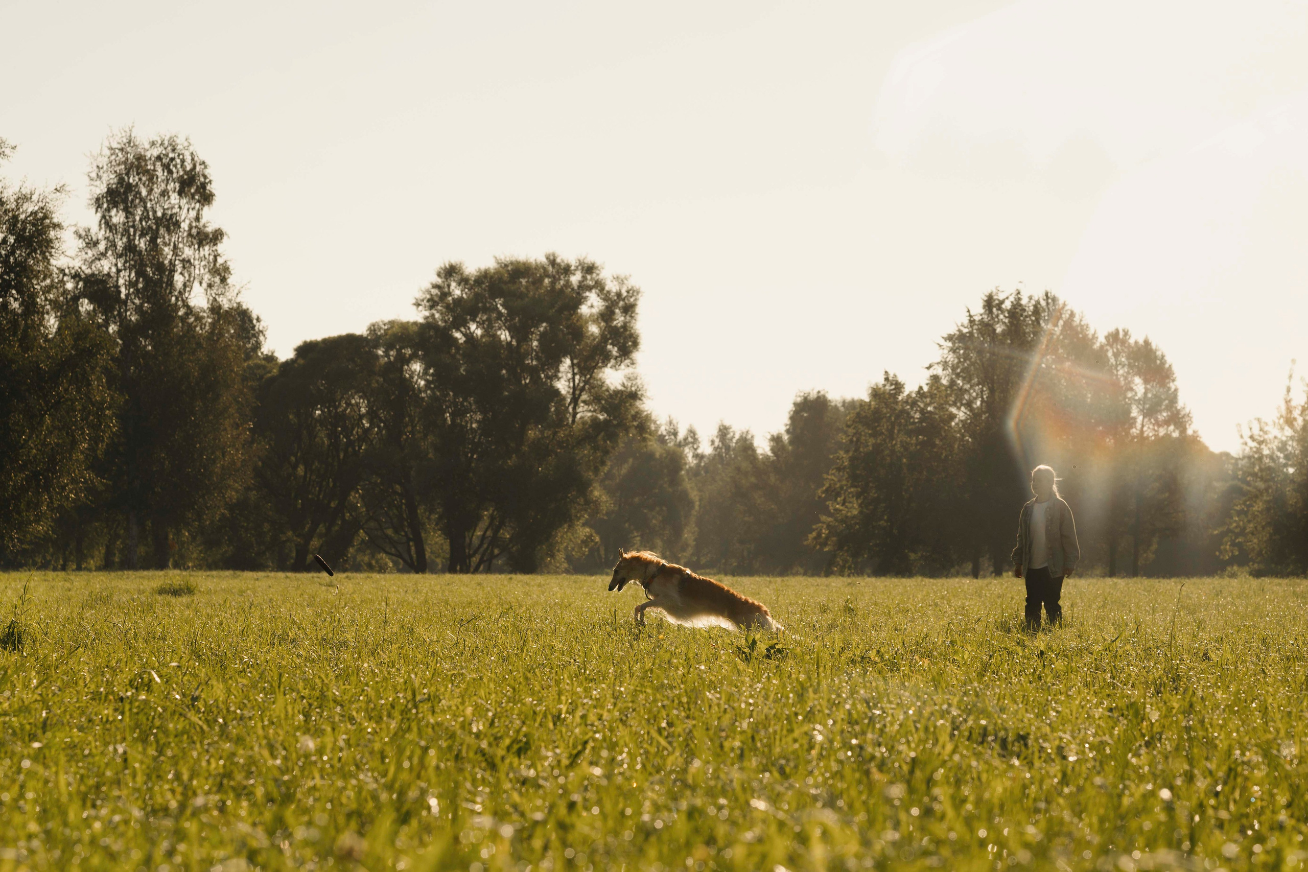 Тайга. Фотограф- анималист Александра Матвеева