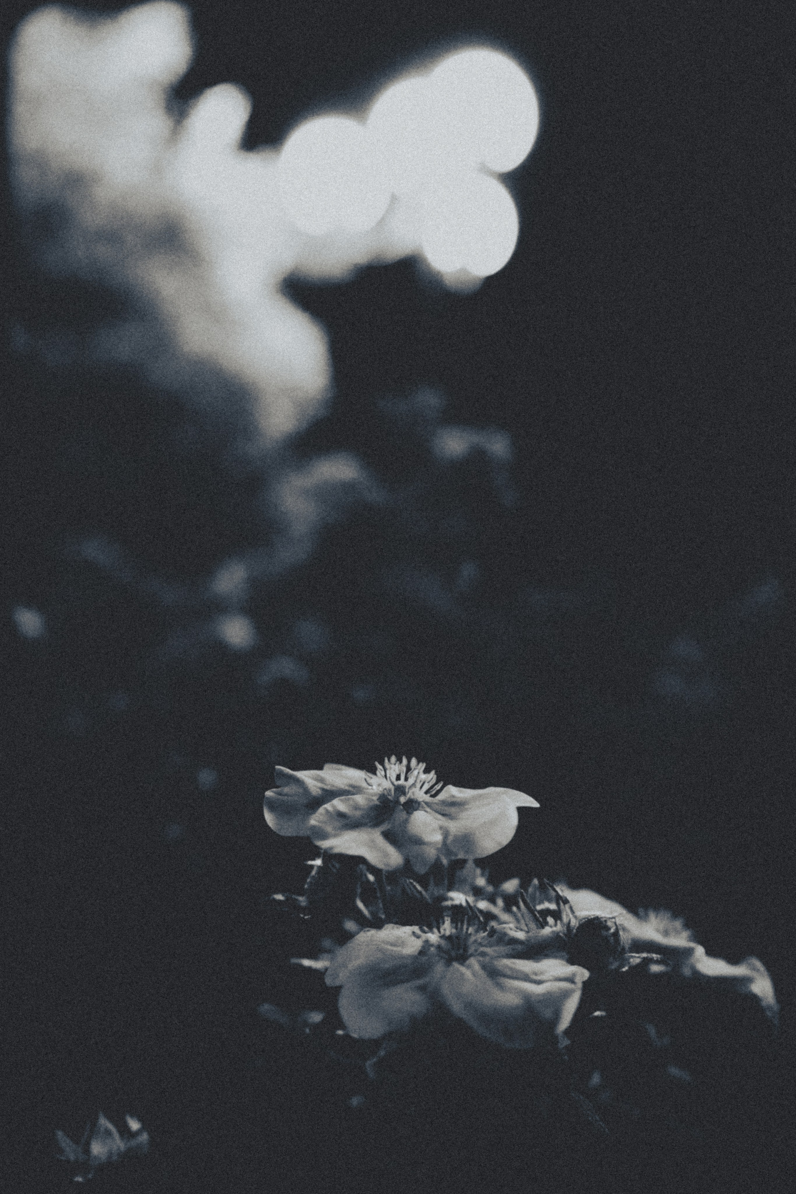 Екатеринбург. Jean De Vivre Gallery