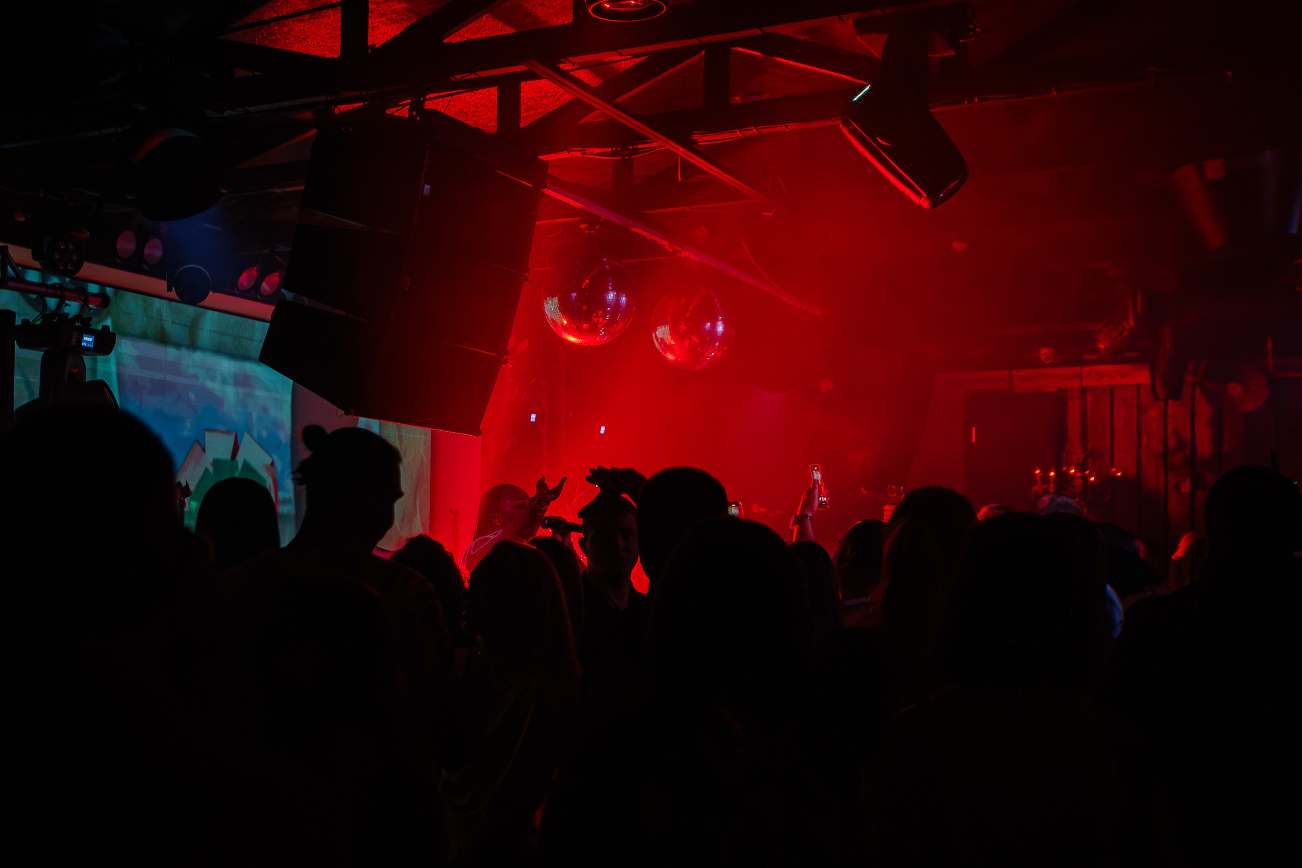 «LIZWI"_Чайка на пляже_Ялта_7.06.2025. Аминов Руслан | Фотограф