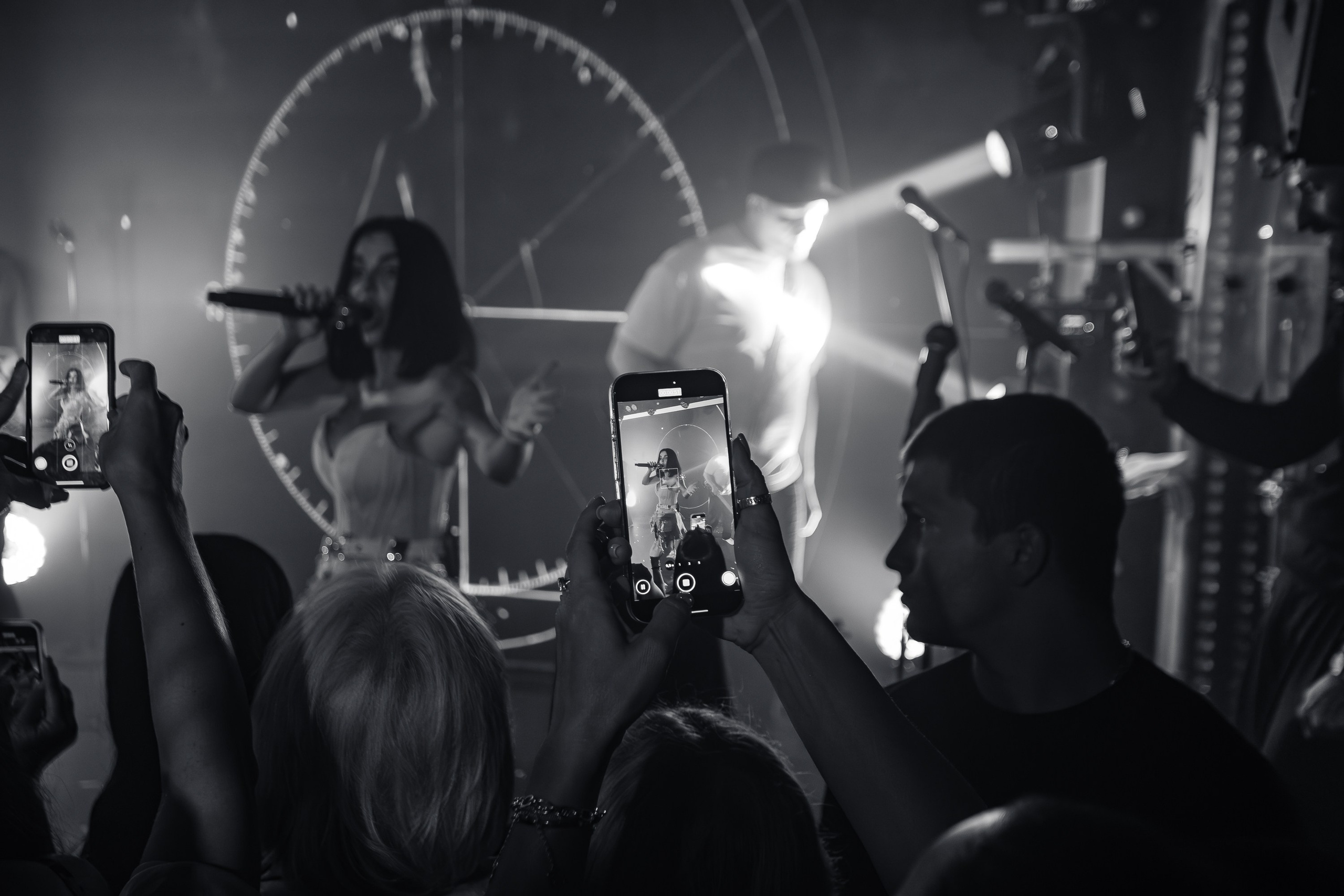 «Юлия Волкова"_Чайка на пляже_Ялта_2.08.2025 г. Аминов Руслан | Фотограф