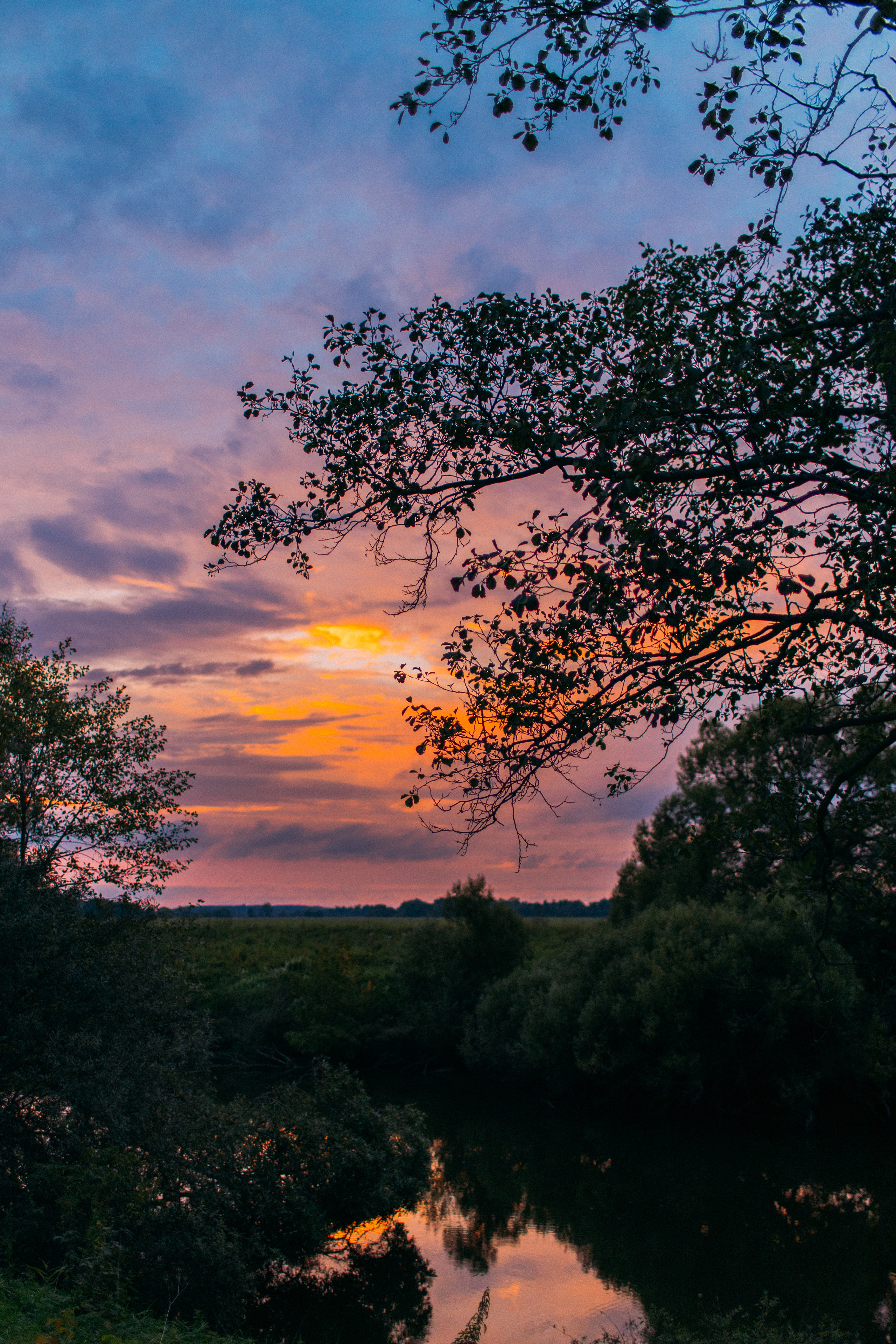 Рубеж 2020. Фотограф в Москве Десятова Ксения