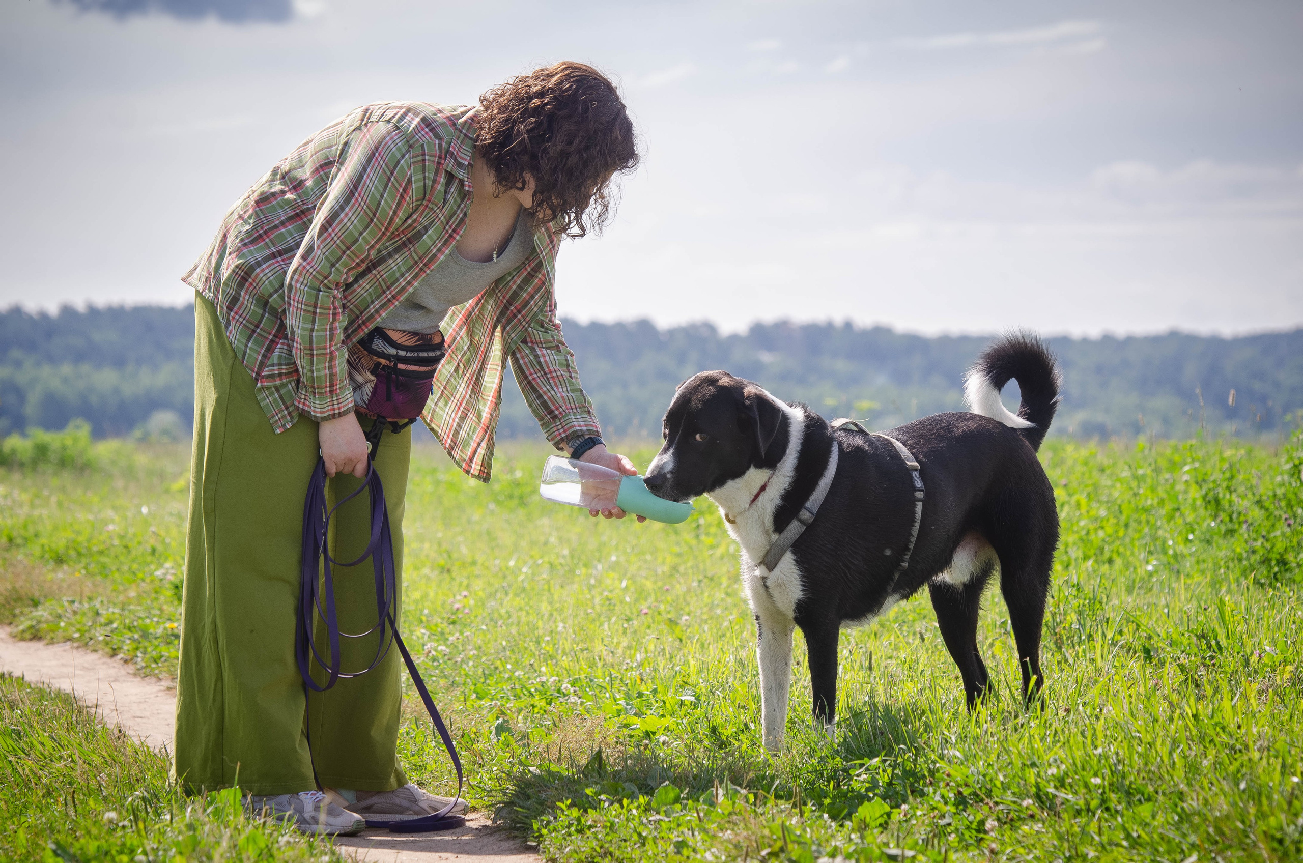 Прогулка (Лохин остров). Фотограф Светлана Блинова, Москва и Московская область