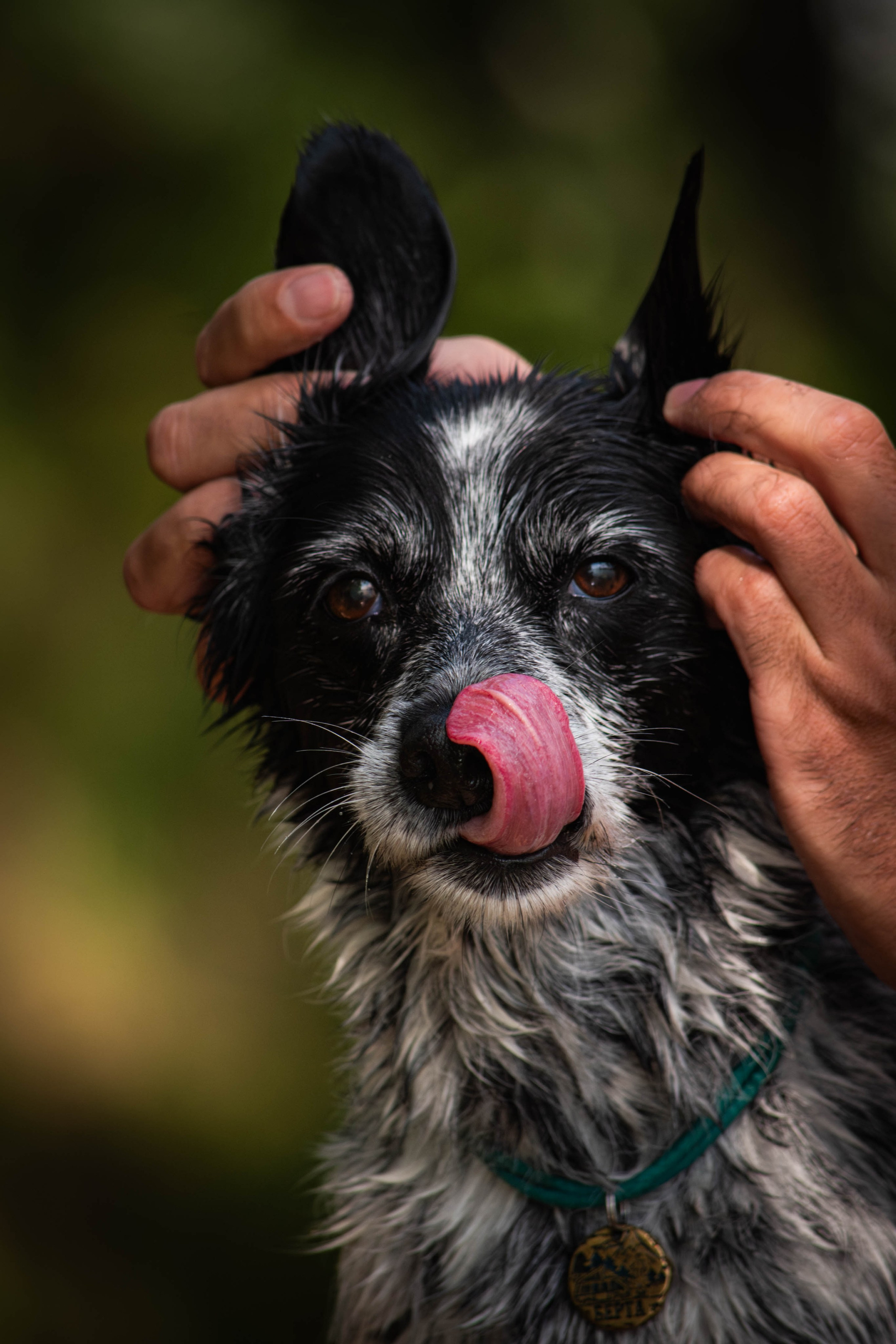 Берта, Ангелина и Витя. Фотограф Светлана Блинова, Москва и Московская область