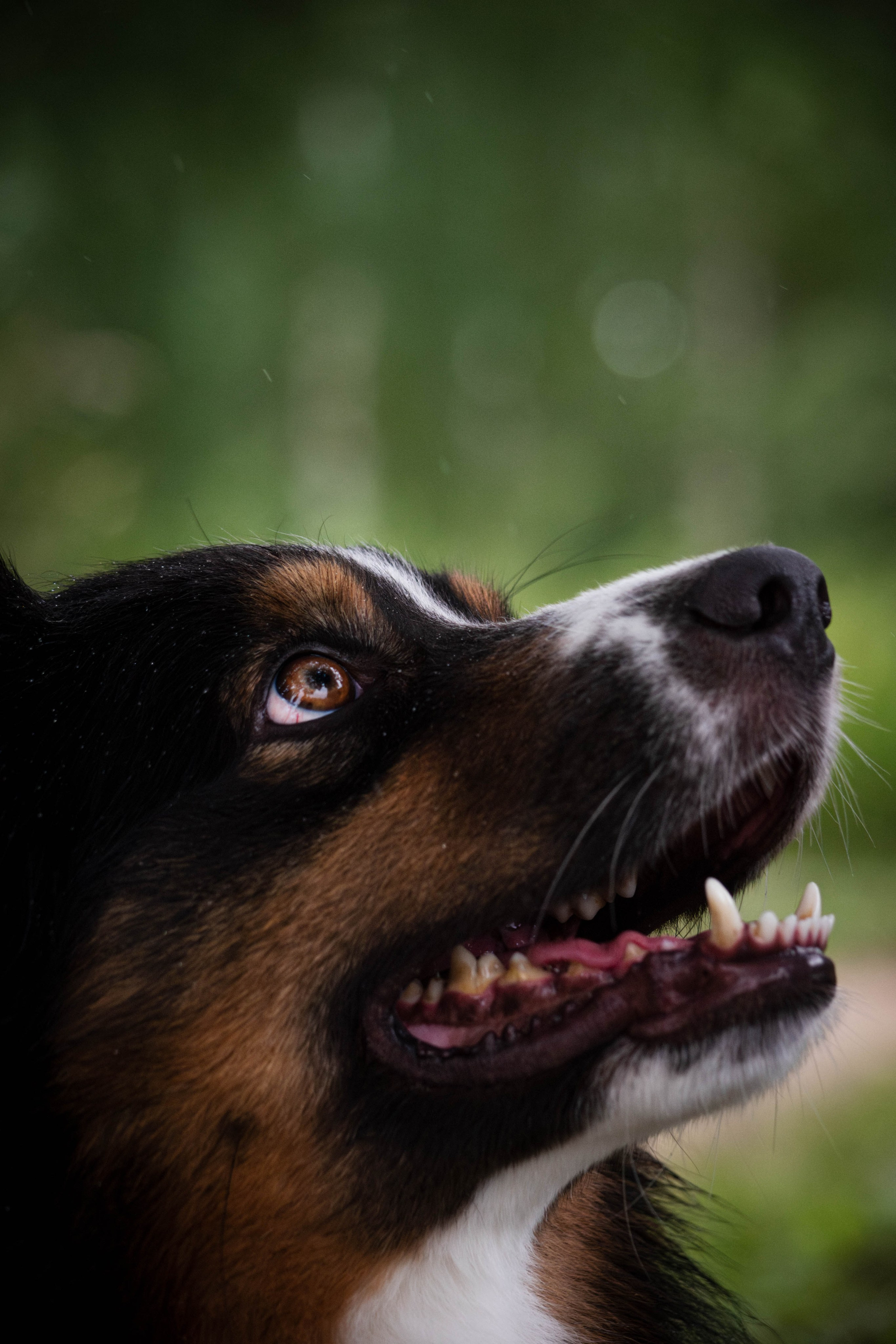 Прогулка в парке Митино. Фотограф Светлана Блинова, Москва и Московская область