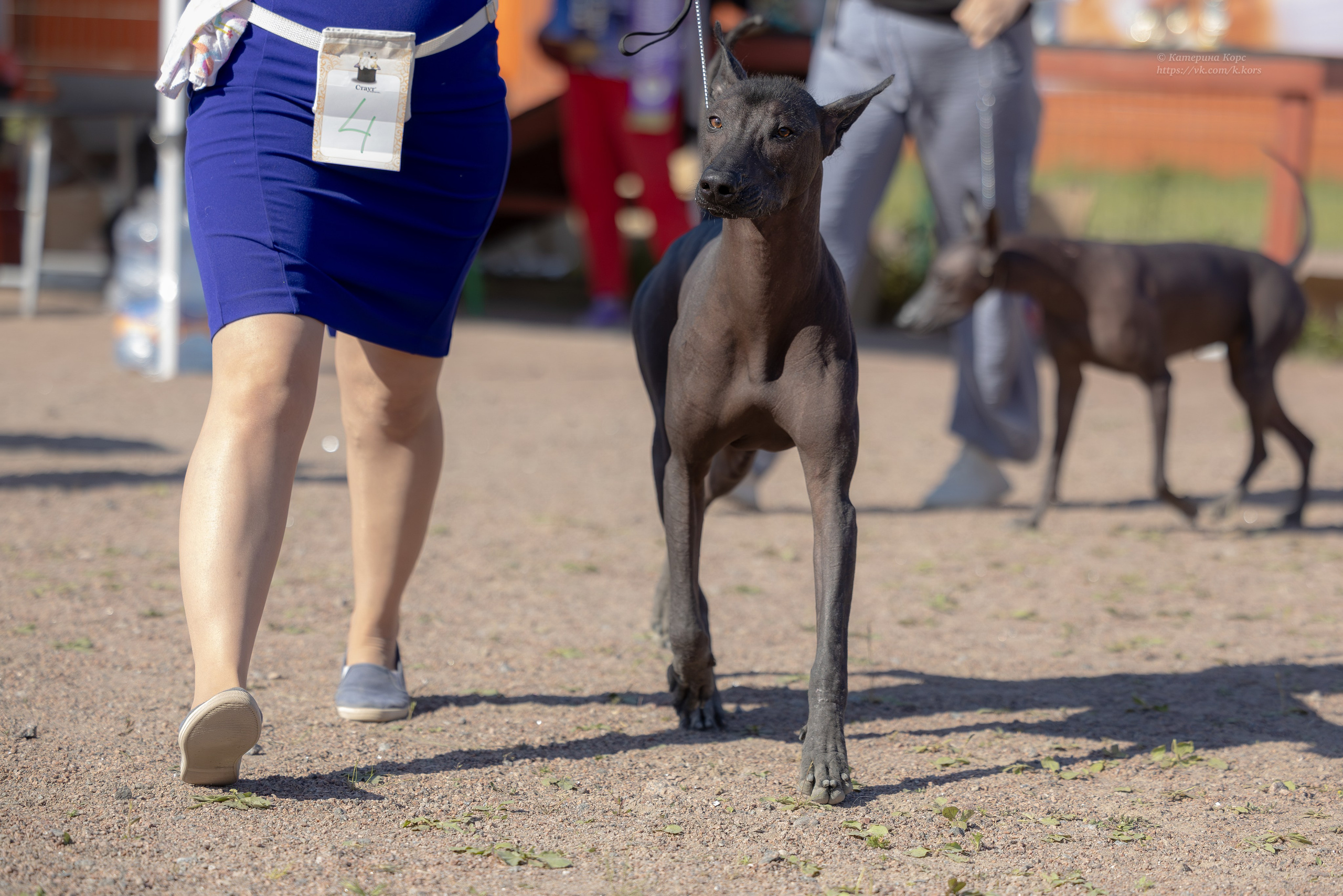 Выставки. Главная