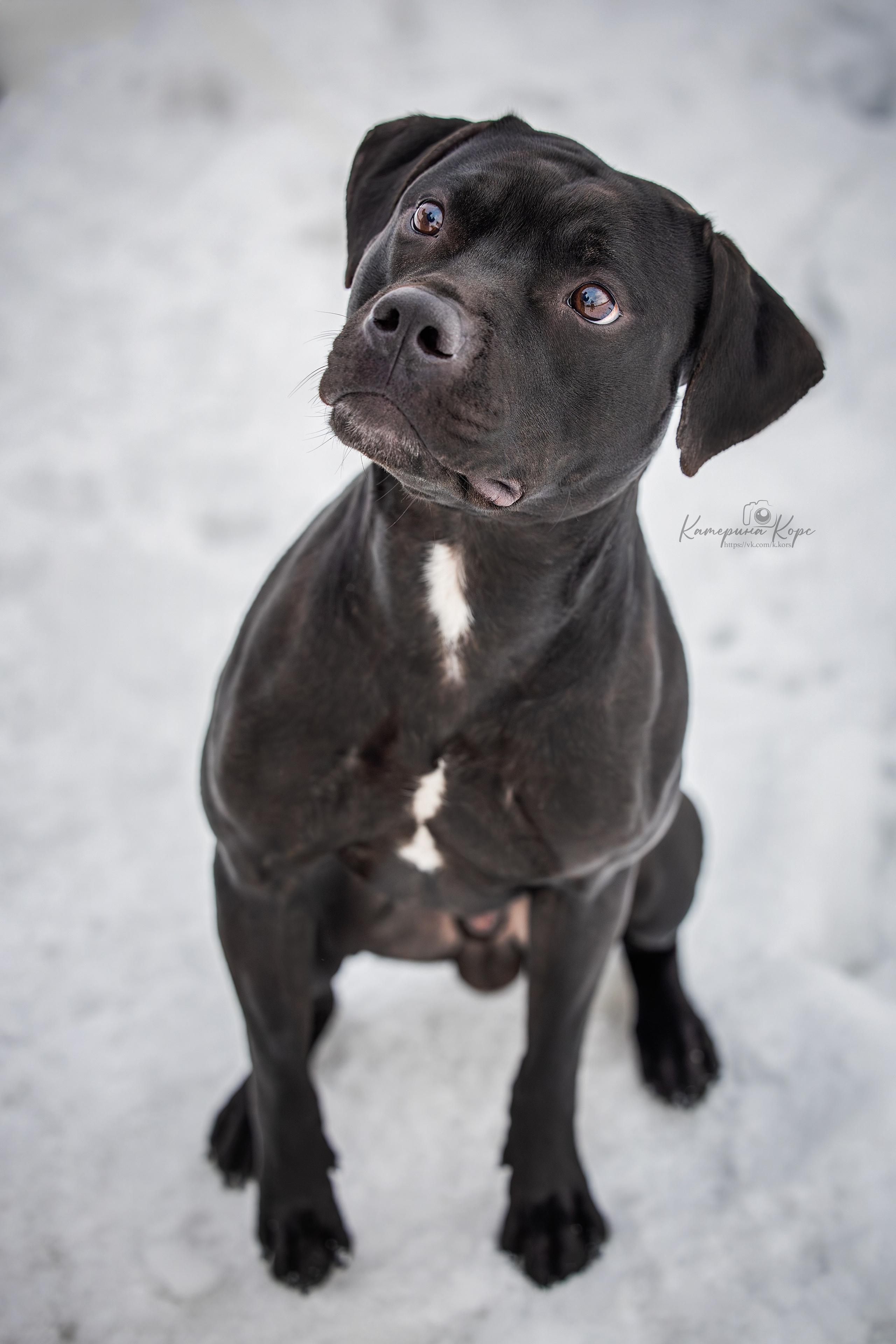 АПБТ Мавр. Главная