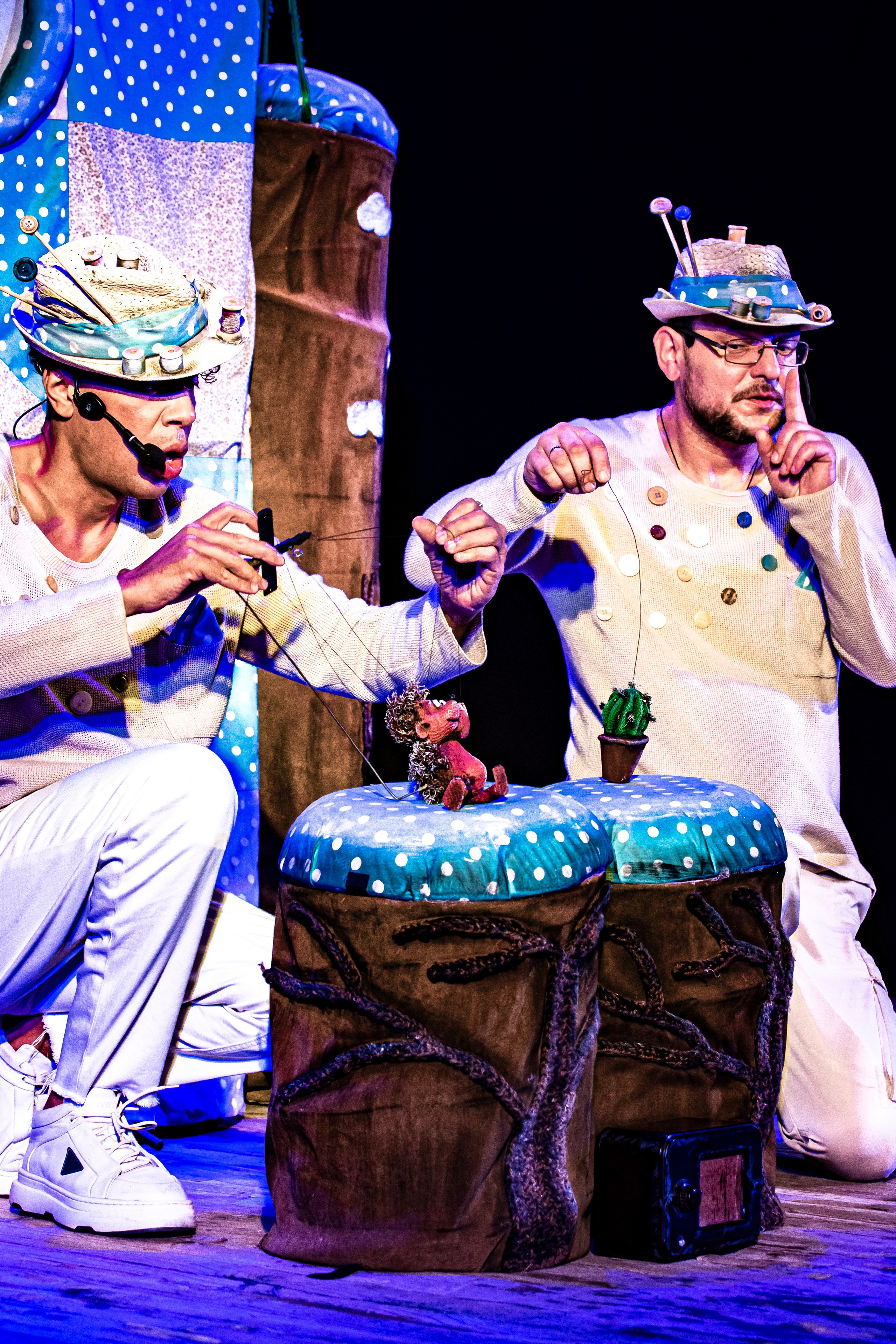 Колючая сказка. Фотограф в Сочи Юрий Шептаев