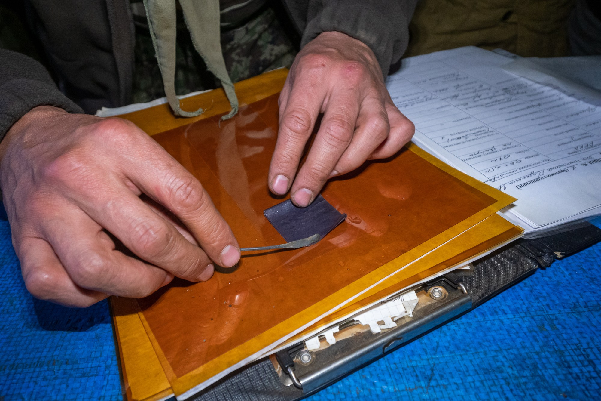 Высота 2019. Фотограф Алексей Скоробогатько