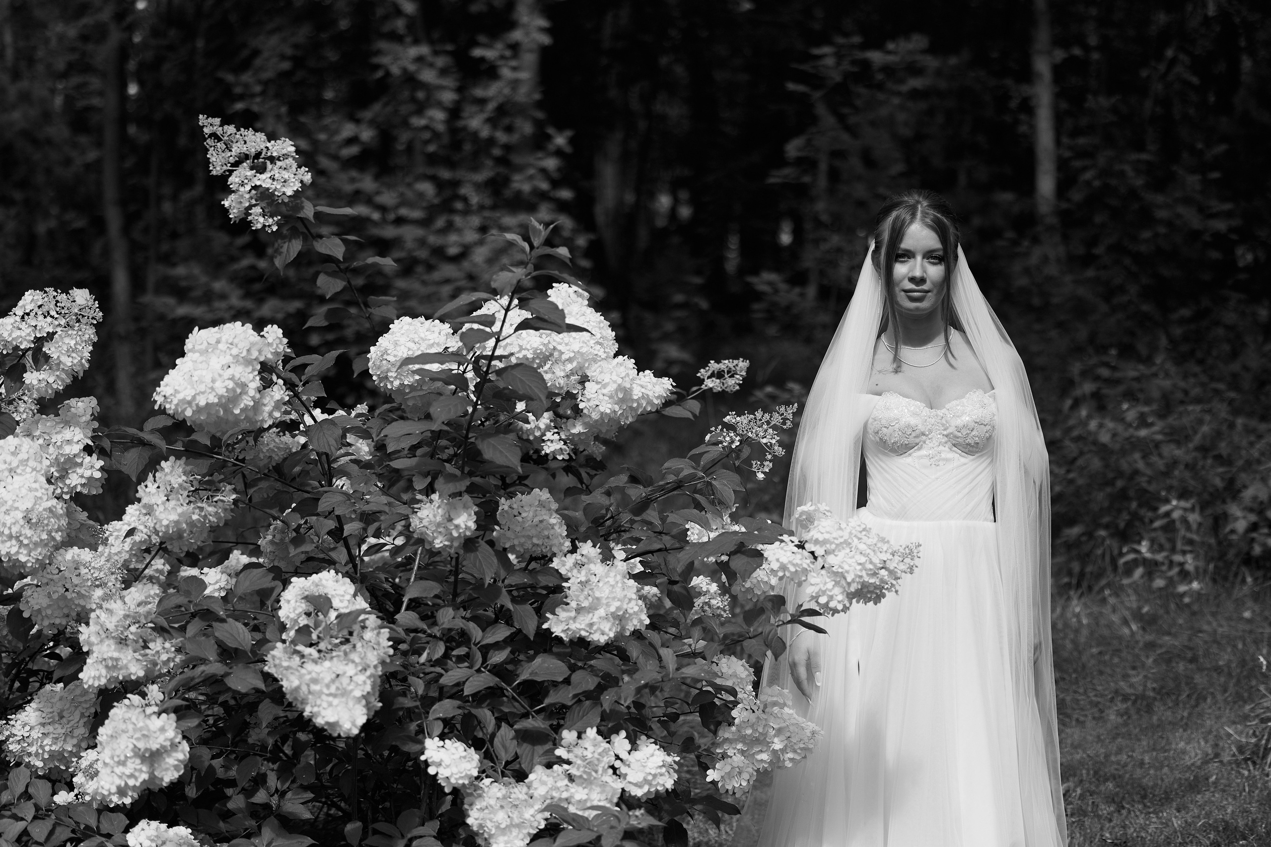 Андрей и Елена. Kharchenkotatianaweddingphoto