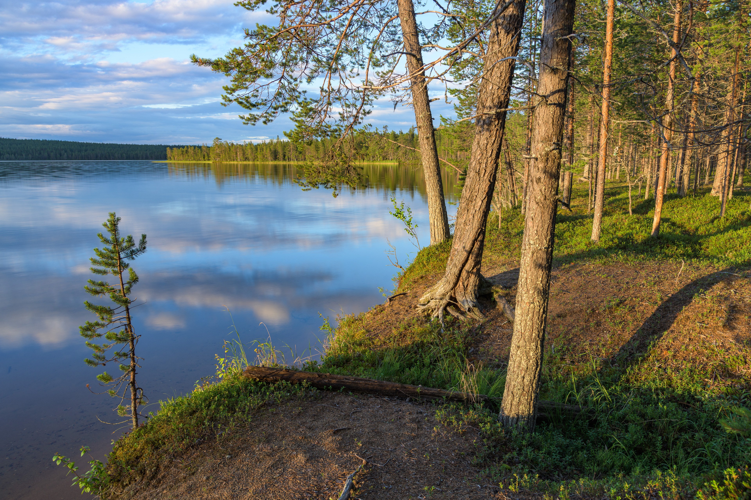 Лето. Северные Ночи