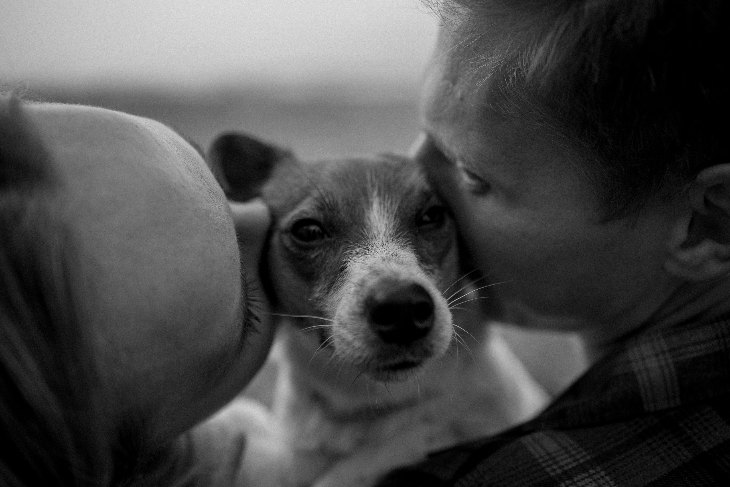 Лея и ее семья. Фотограф — Анималист | Санкт-Петербург