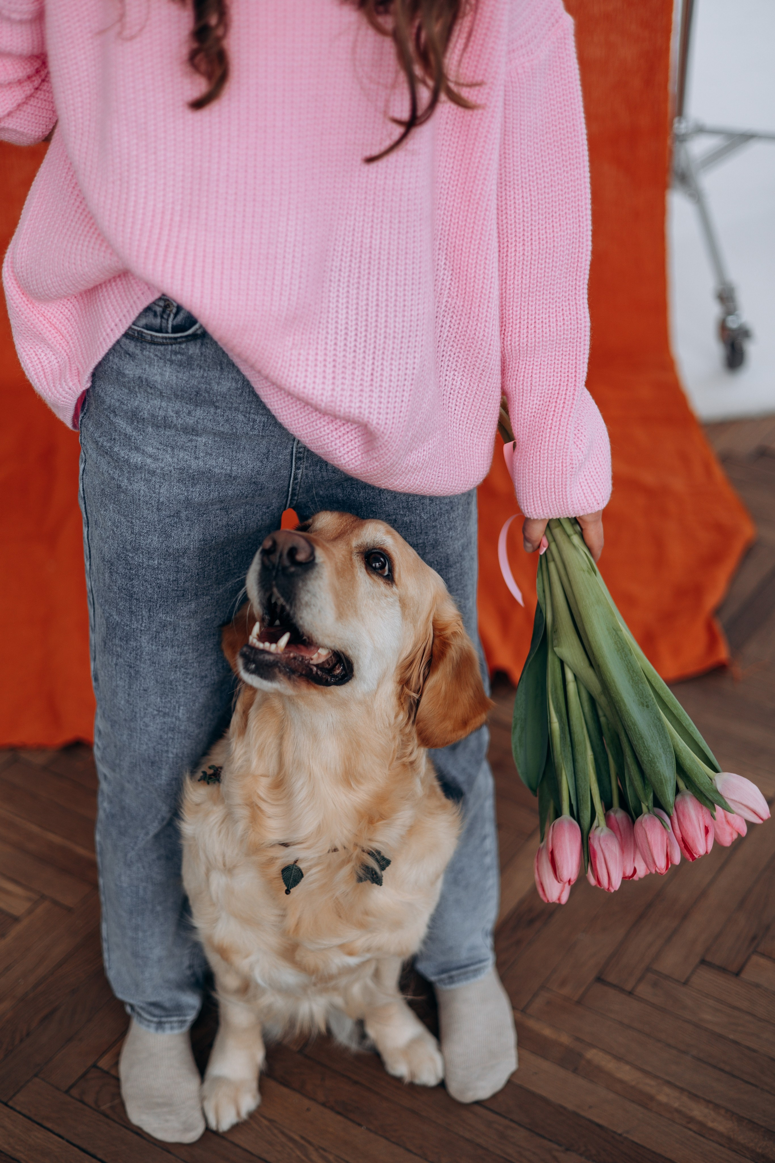 Марина и Чили. Фотограф — Анималист | Санкт-Петербург