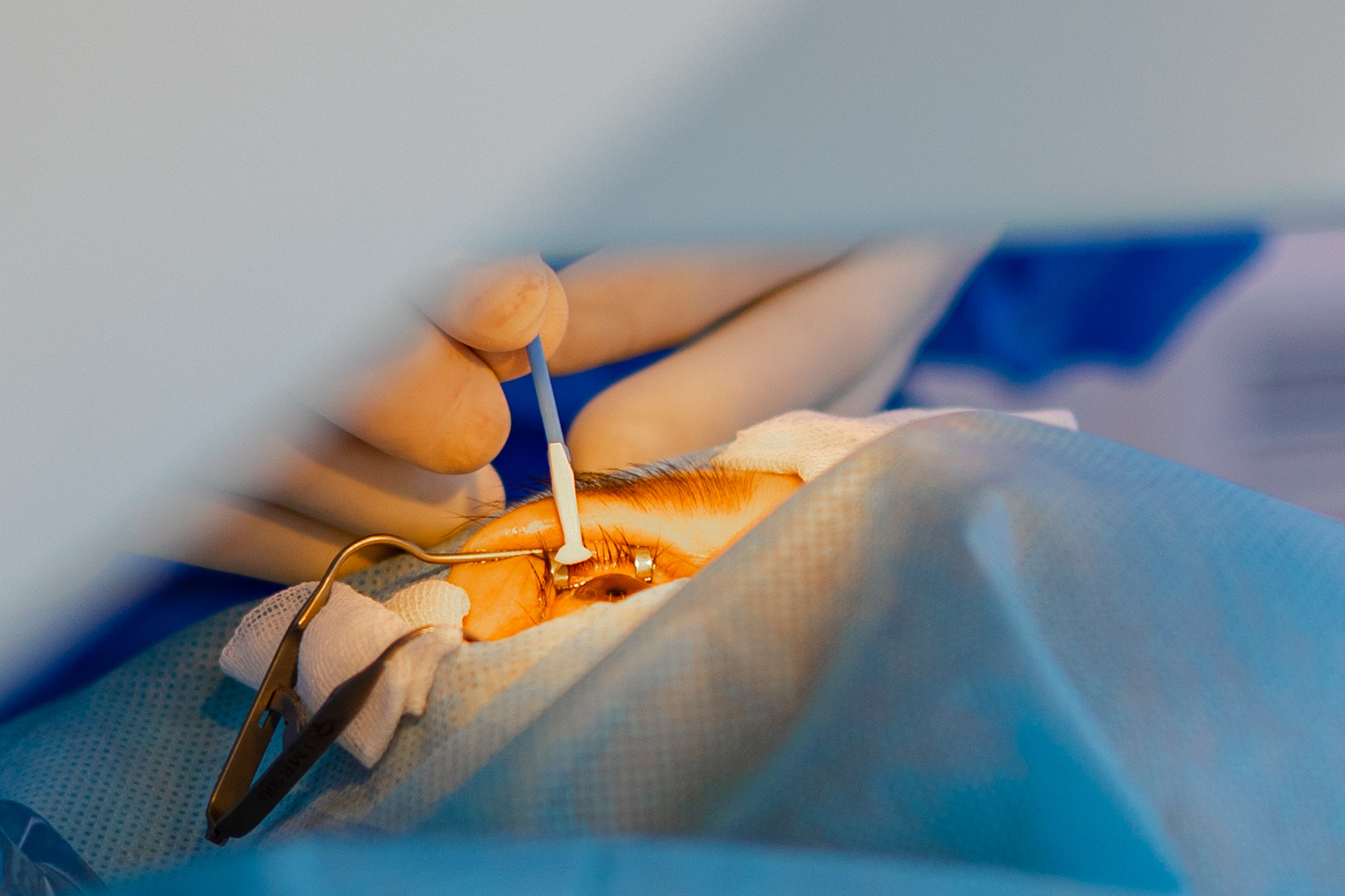 Омикрон. Фотограф Князев Сергей