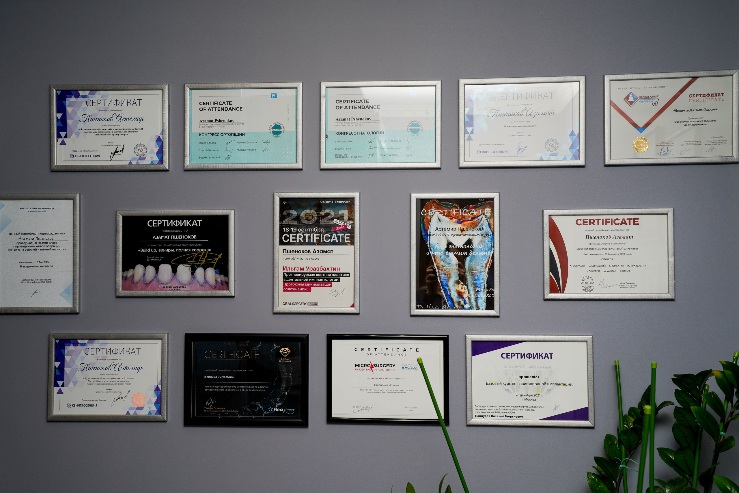 Vivastom. Фотограф Элина Задорожная