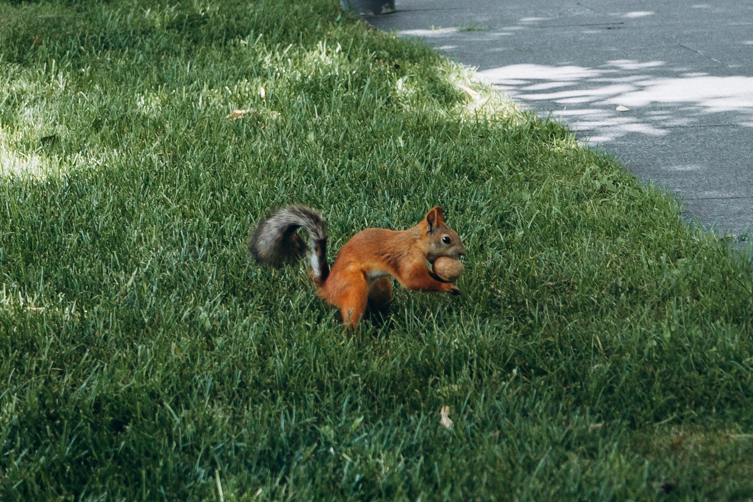 Семейные съёмки