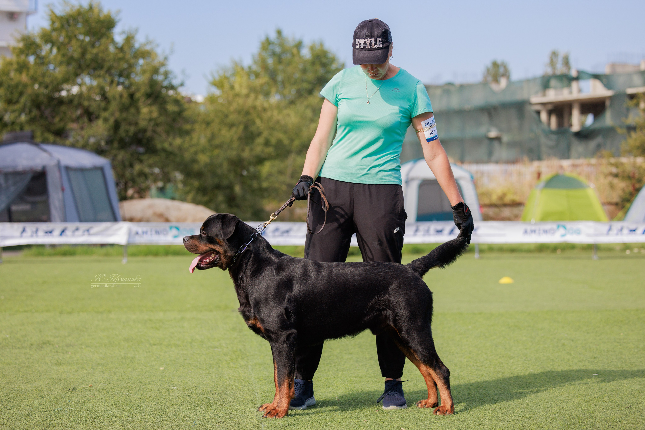 Анапа ротвейлеры 14-15.09.2024. Фотограф-анималист Юлия Германика