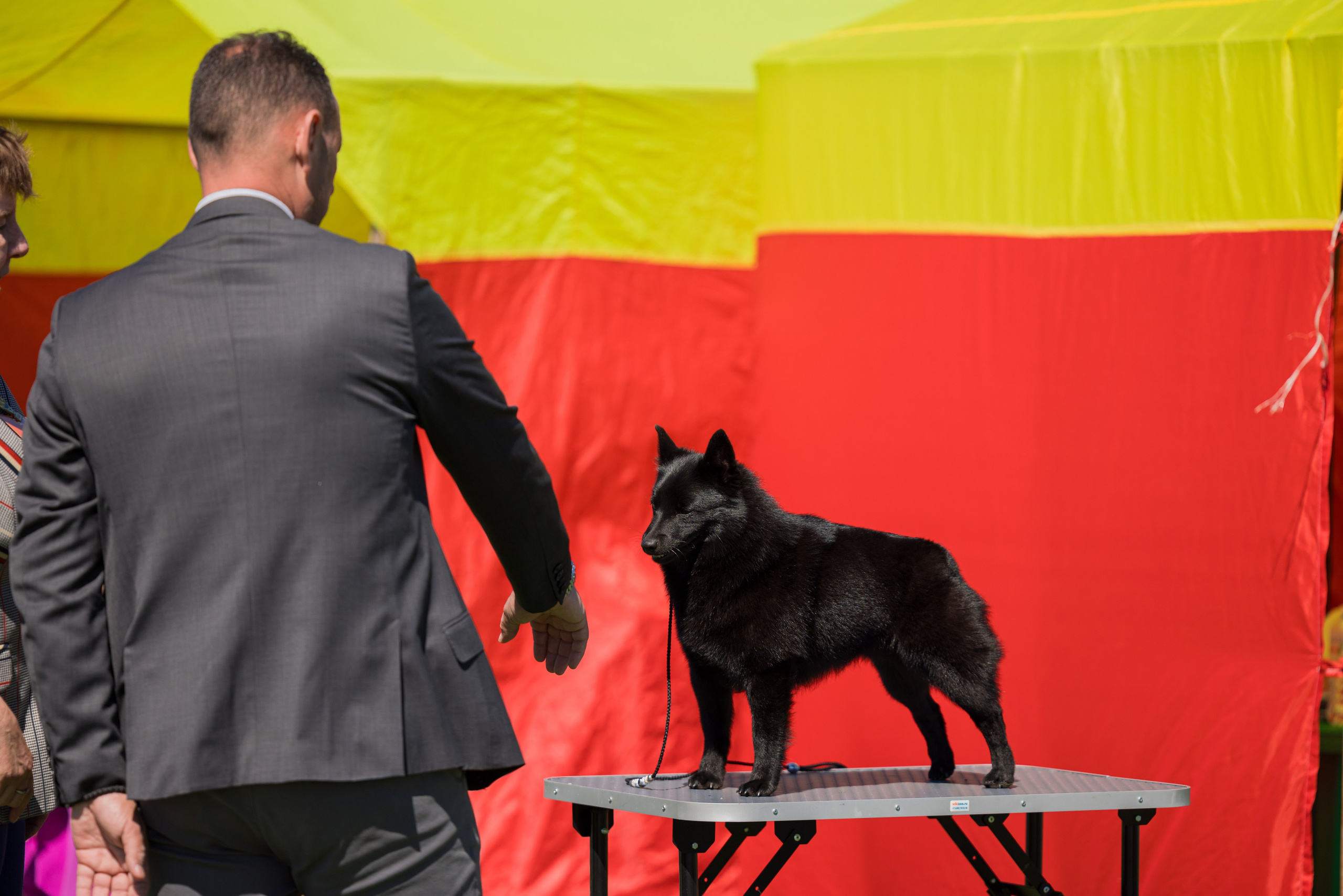 Суздаль 18-19.05.2024. Фотограф-анималист Юлия Германика